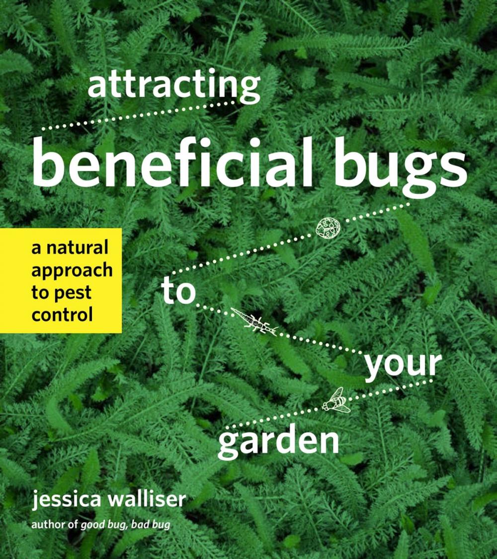 Big bigCover of Attracting Beneficial Bugs to Your Garden