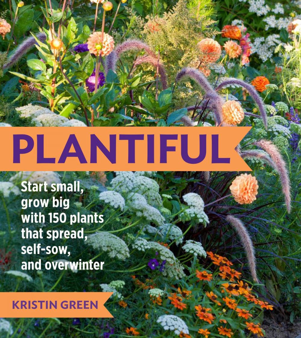 Big bigCover of Plantiful