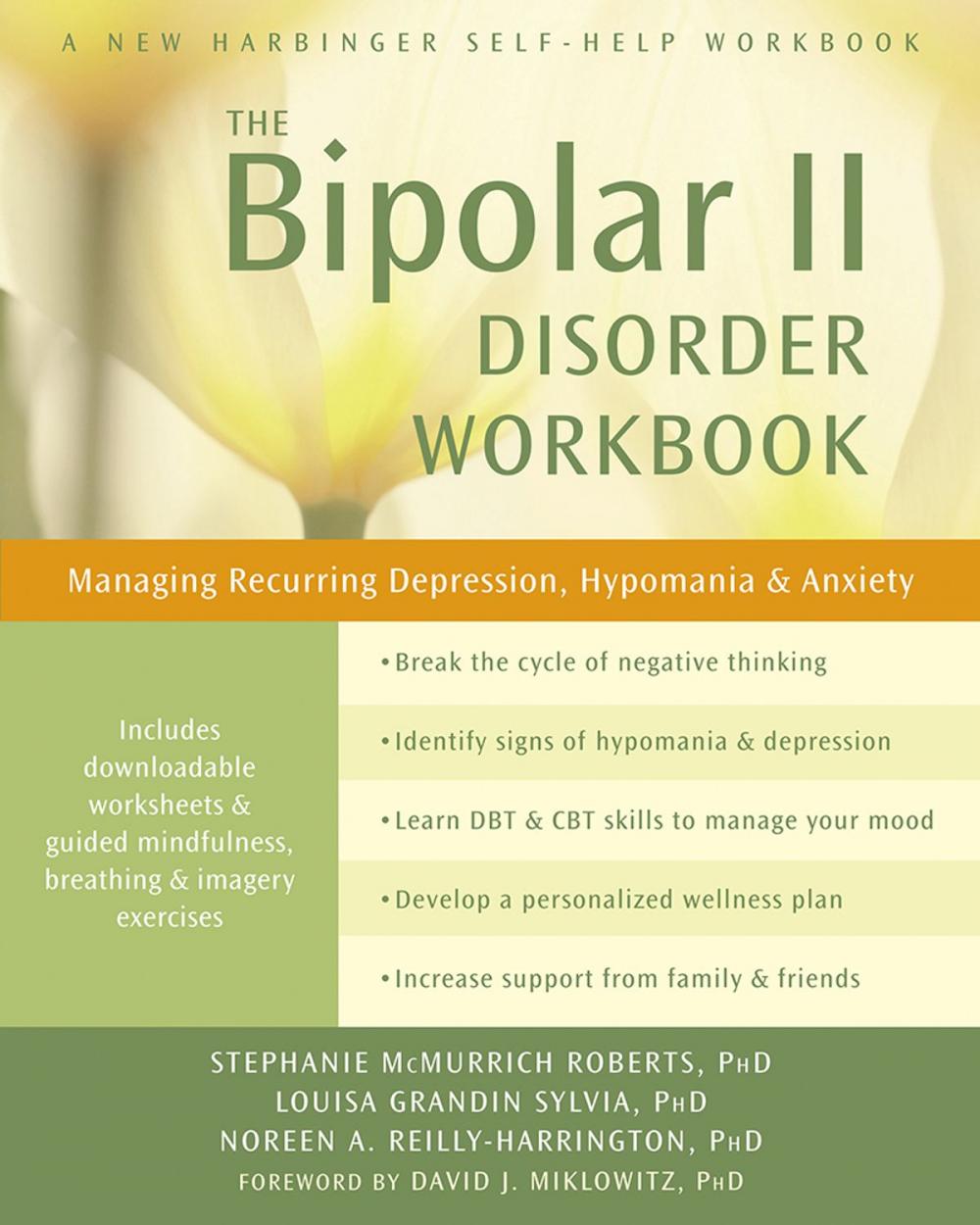 Big bigCover of The Bipolar II Disorder Workbook