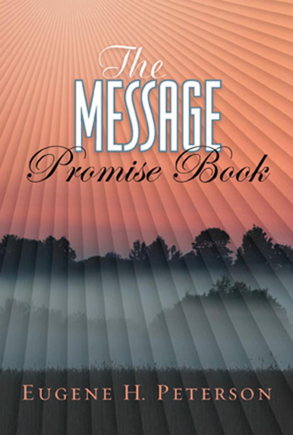 Big bigCover of The Message Promise Book