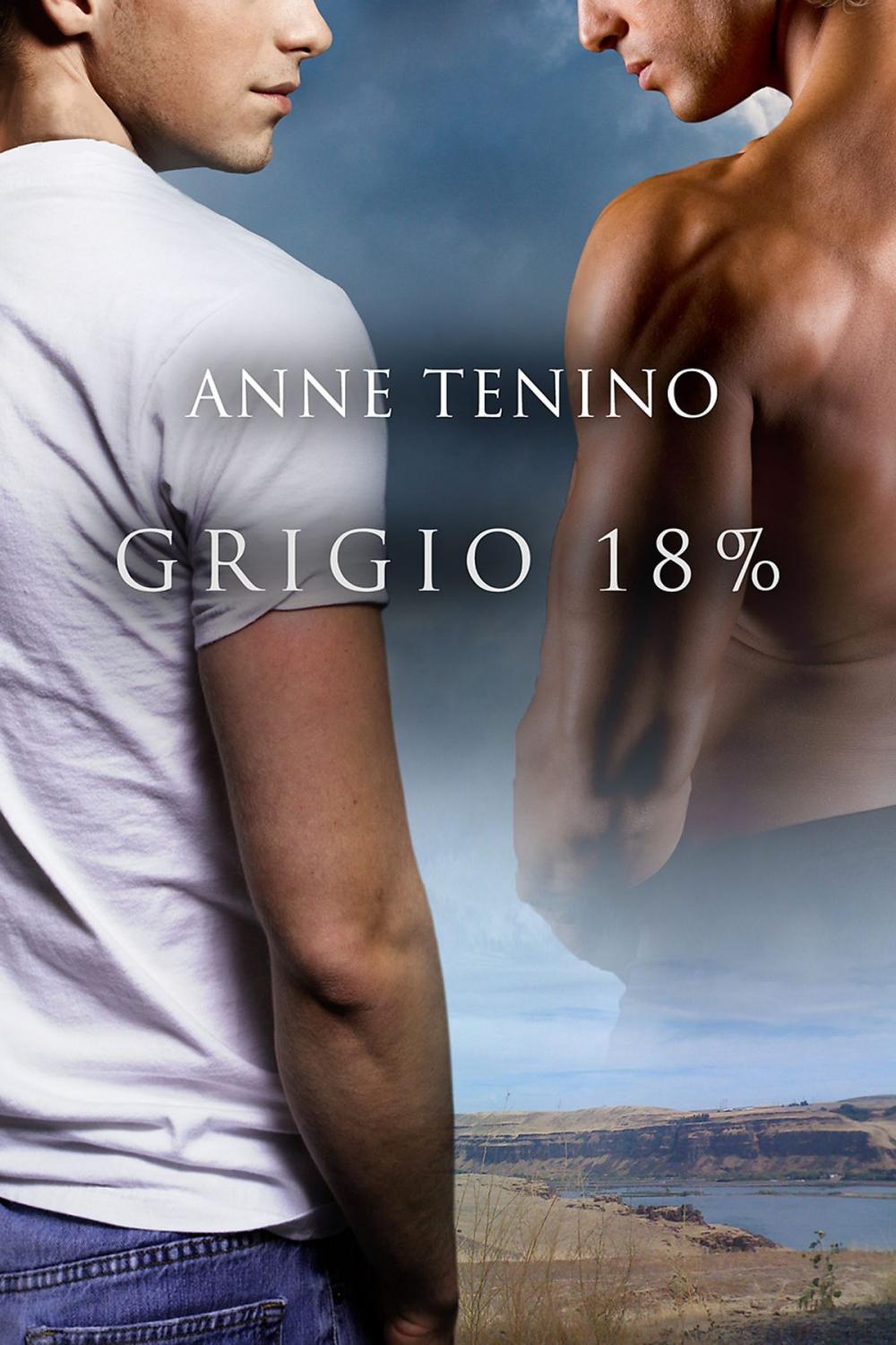 Big bigCover of Grigio 18%