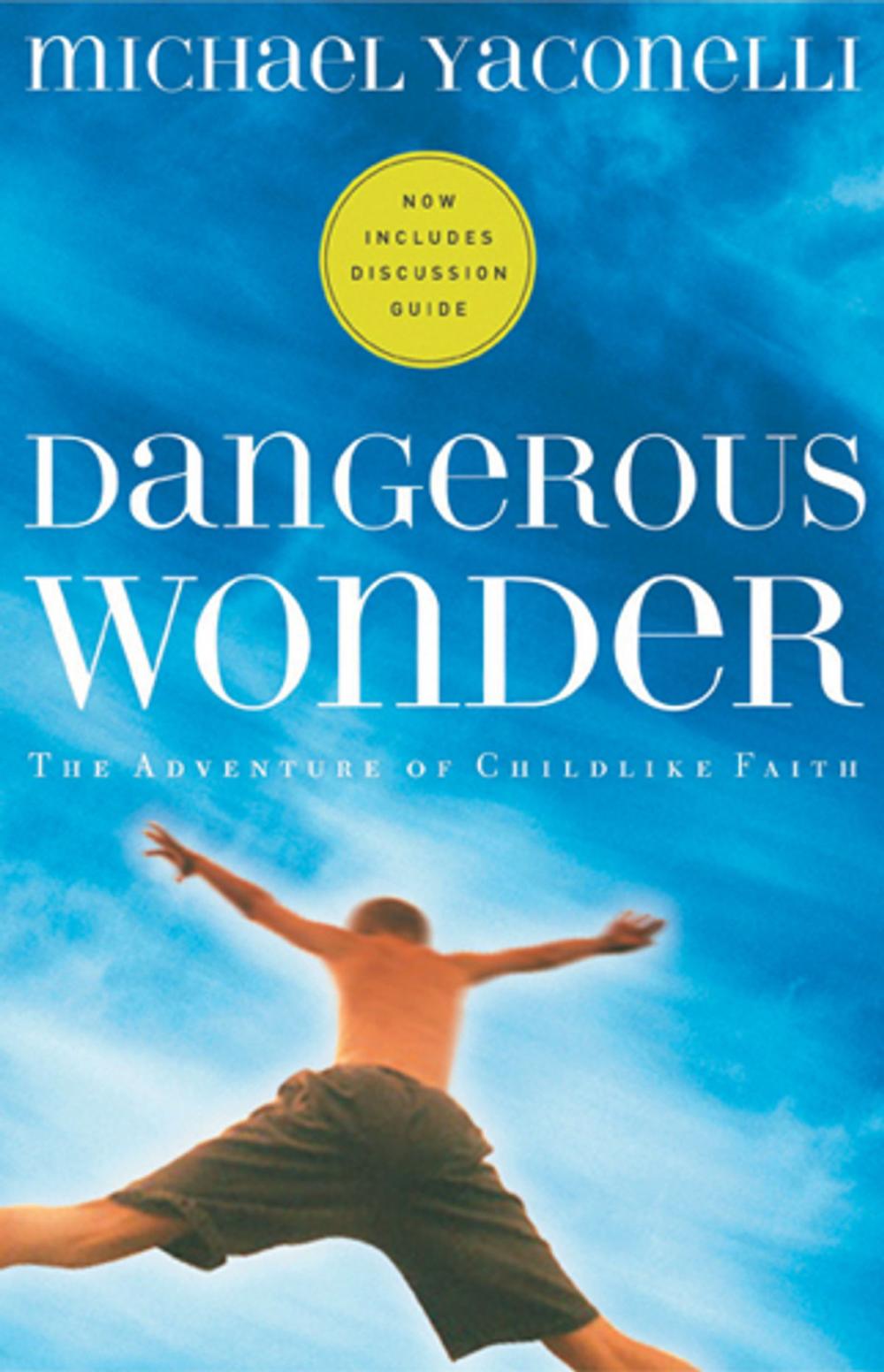 Big bigCover of Dangerous Wonder