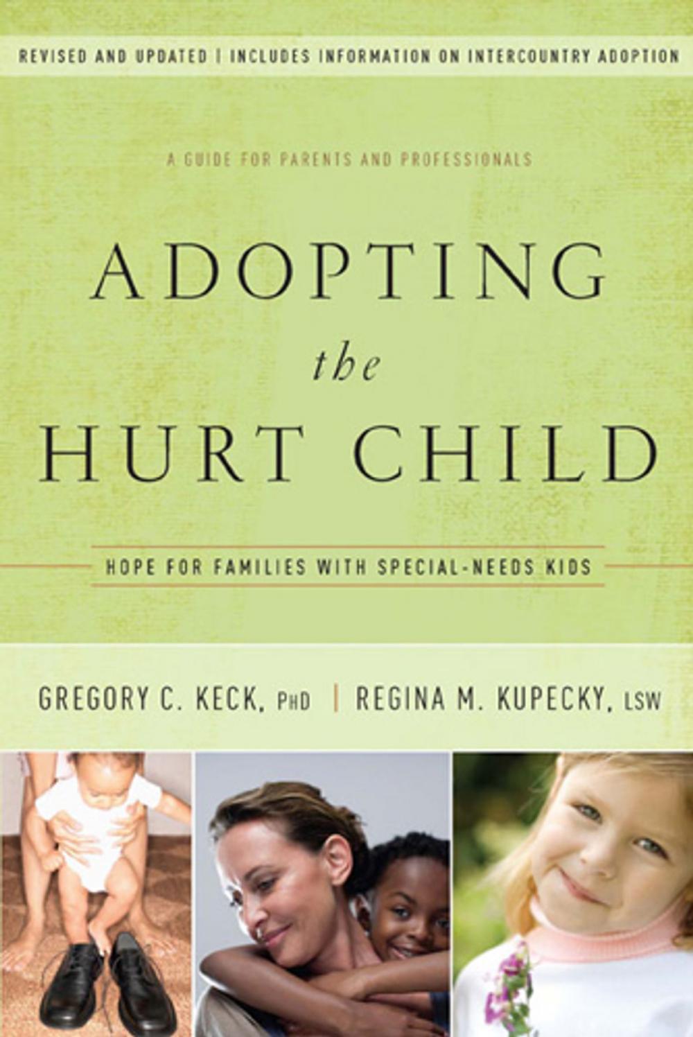 Big bigCover of Adopting the Hurt Child
