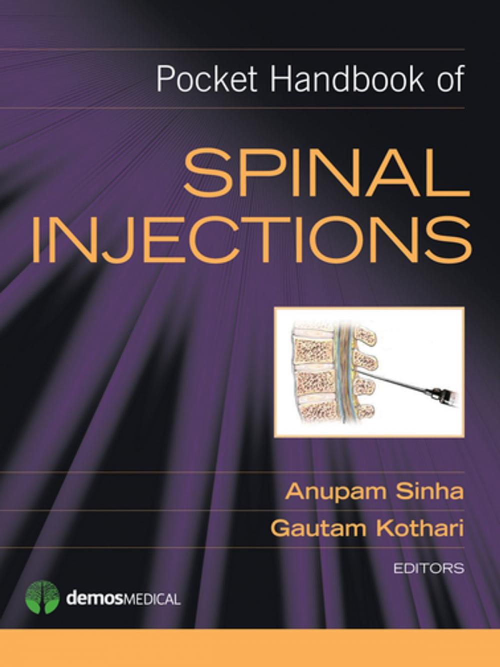 Big bigCover of Pocket Handbook of Spinal Injections