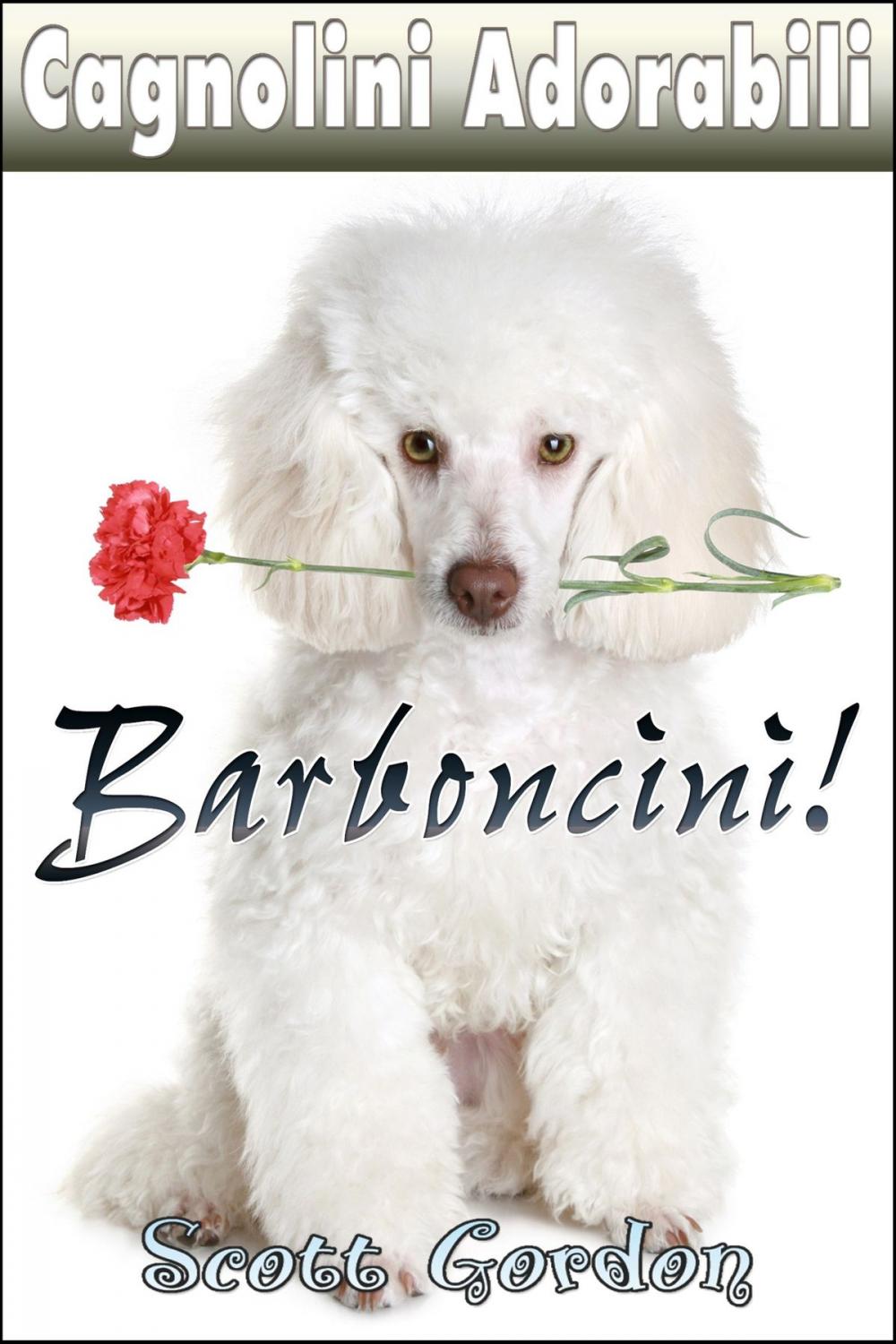 Big bigCover of Cagnolini Adorabili: I Barboncini