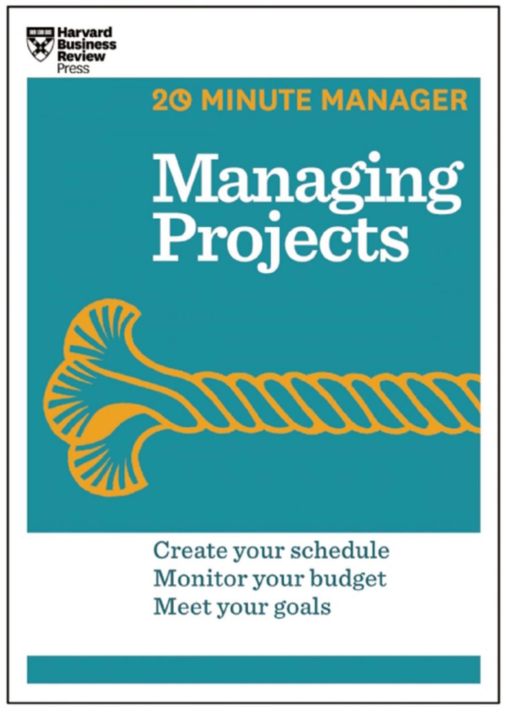 Big bigCover of Managing Projects (HBR 20-Minute Manager Series)