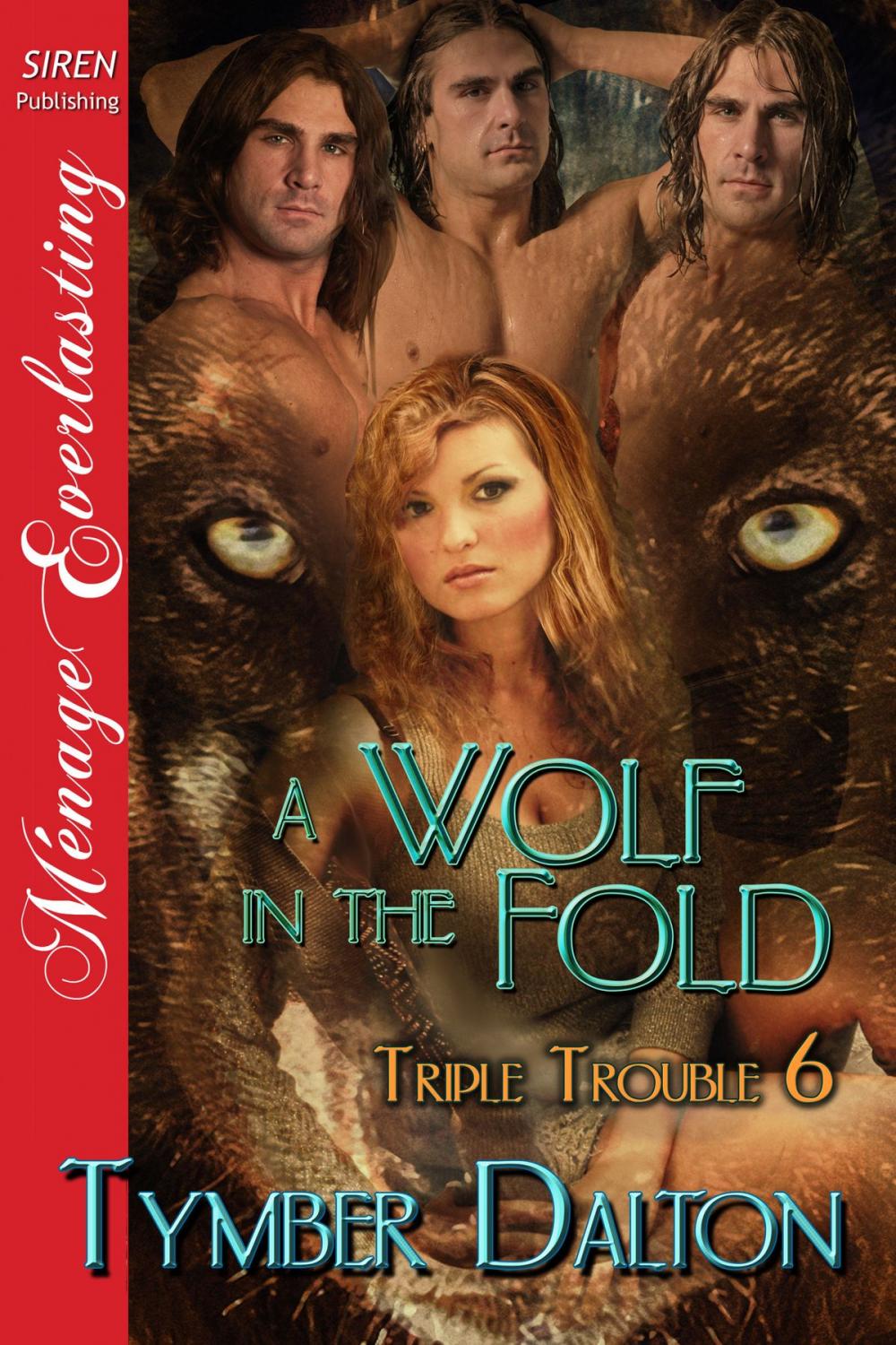 Big bigCover of A Wolf in the Fold