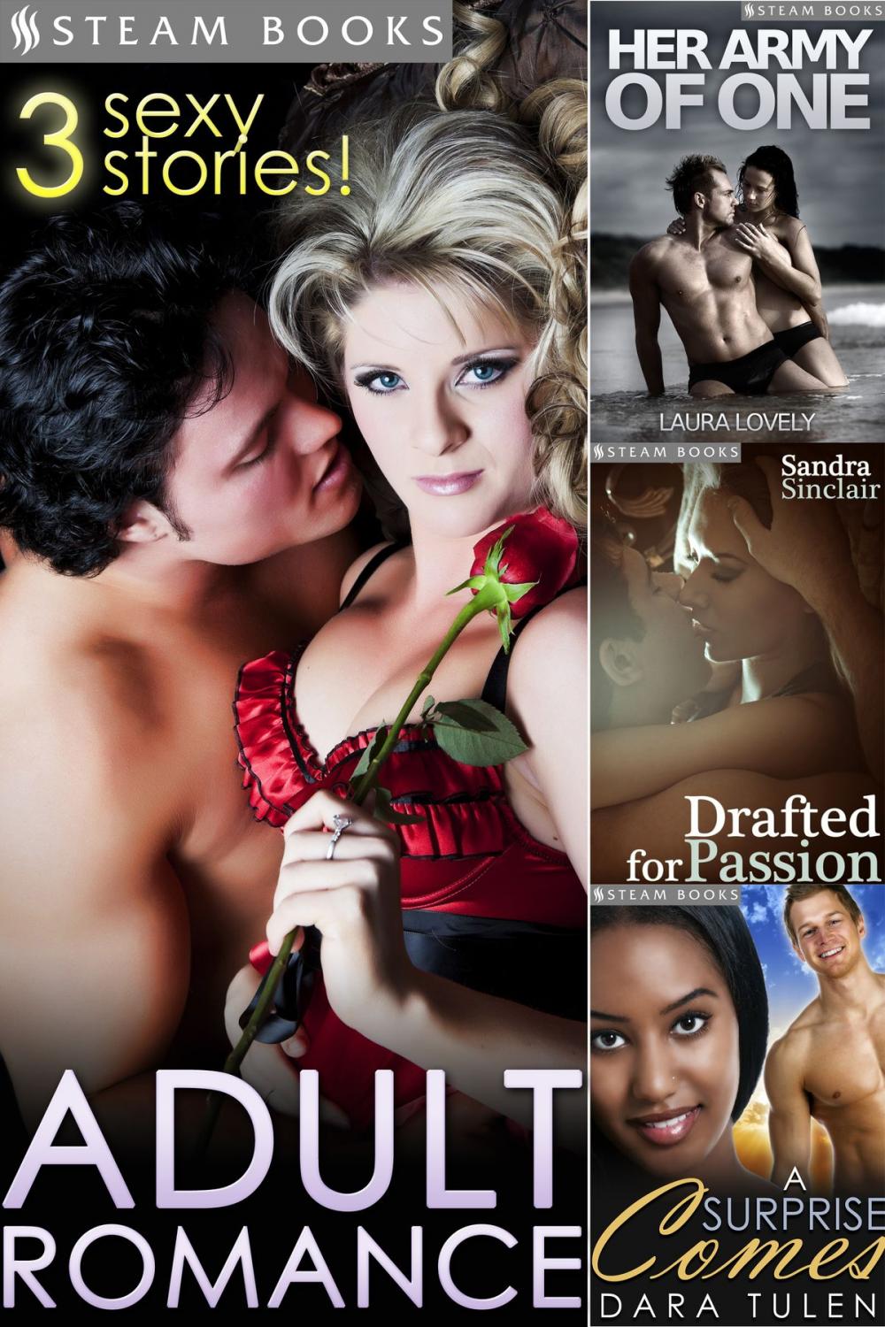 Big bigCover of ADULT ROMANCE - 3 Sexy Stories!