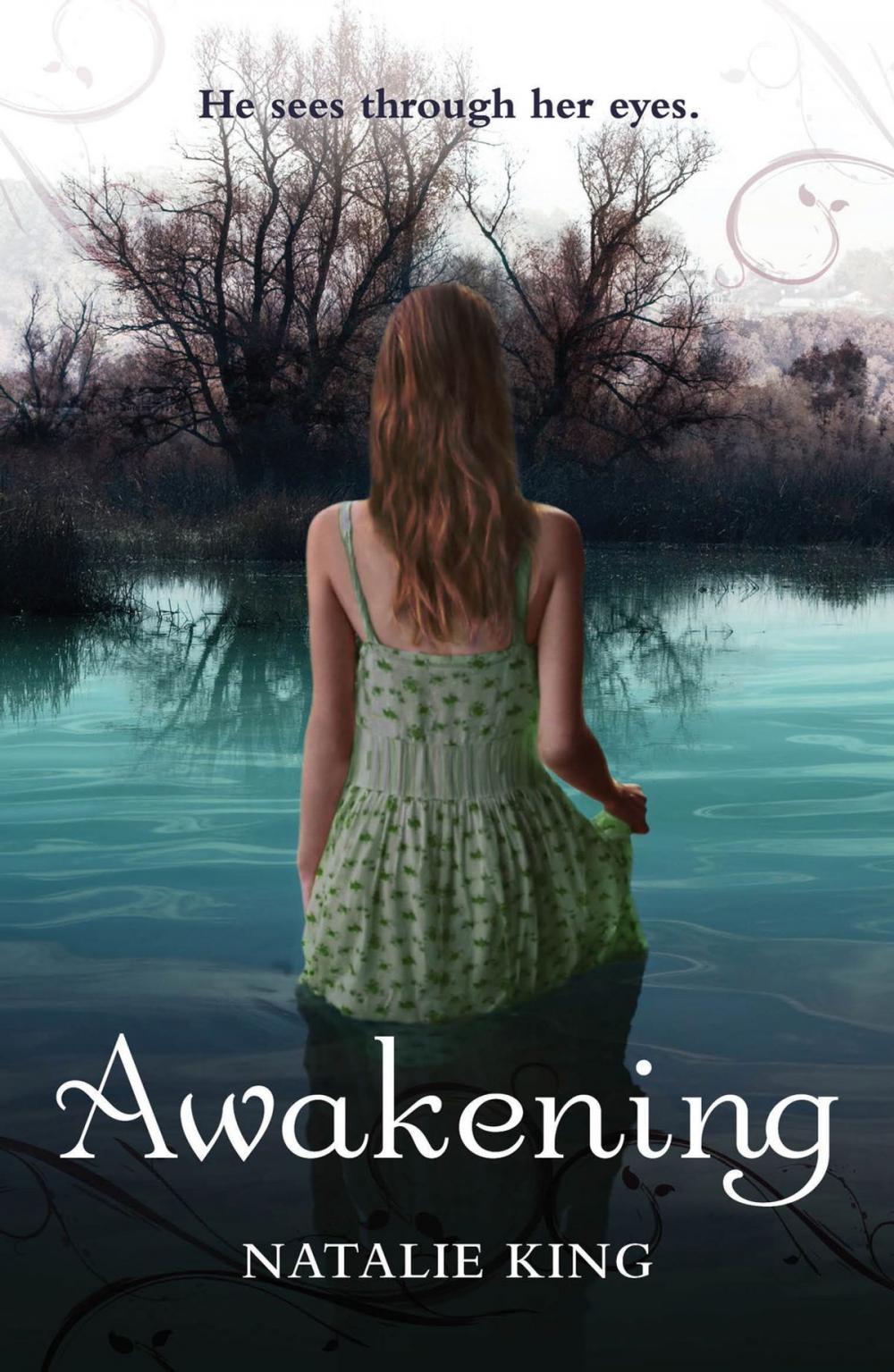 Big bigCover of Awakening