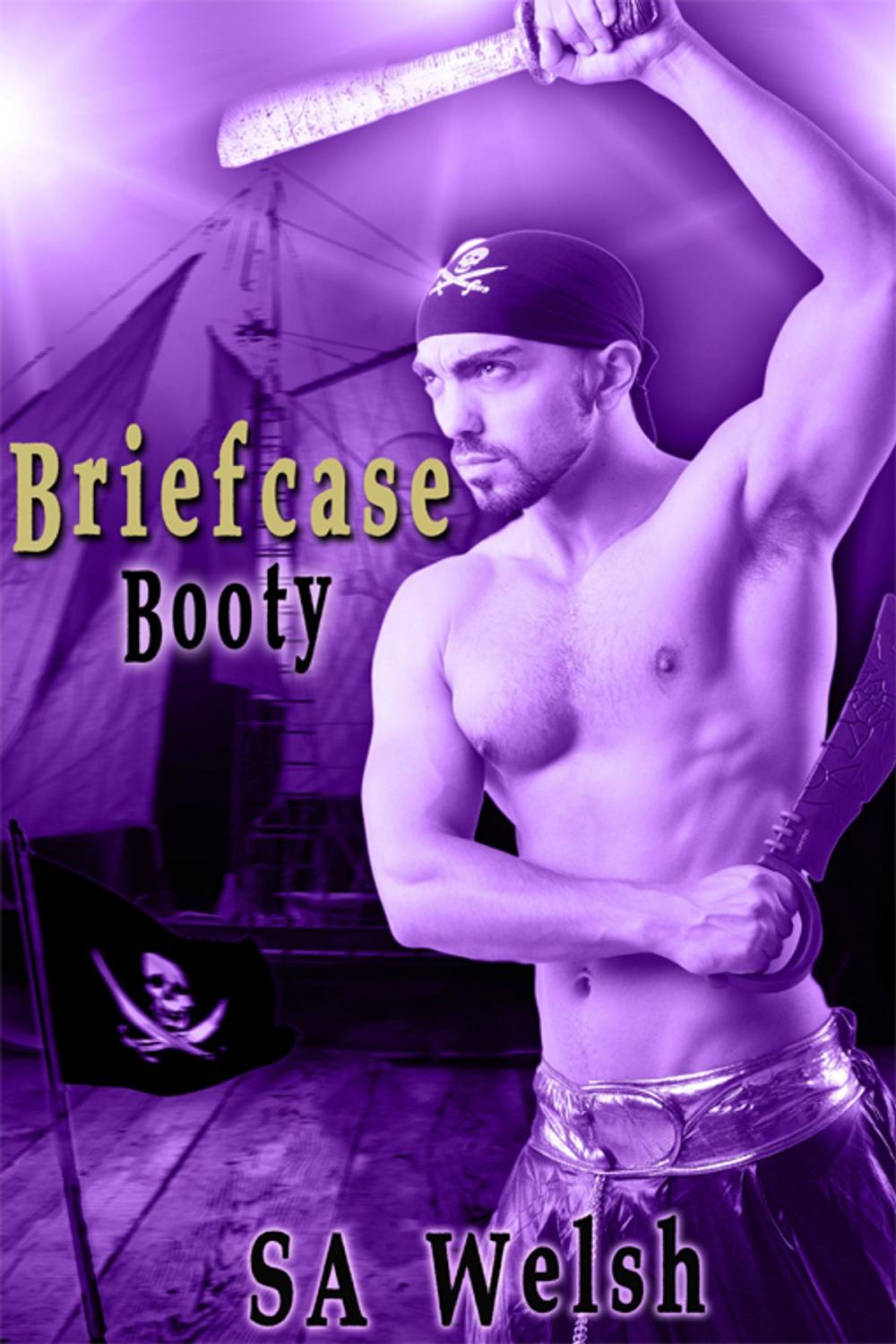 Big bigCover of Briefcase Booty