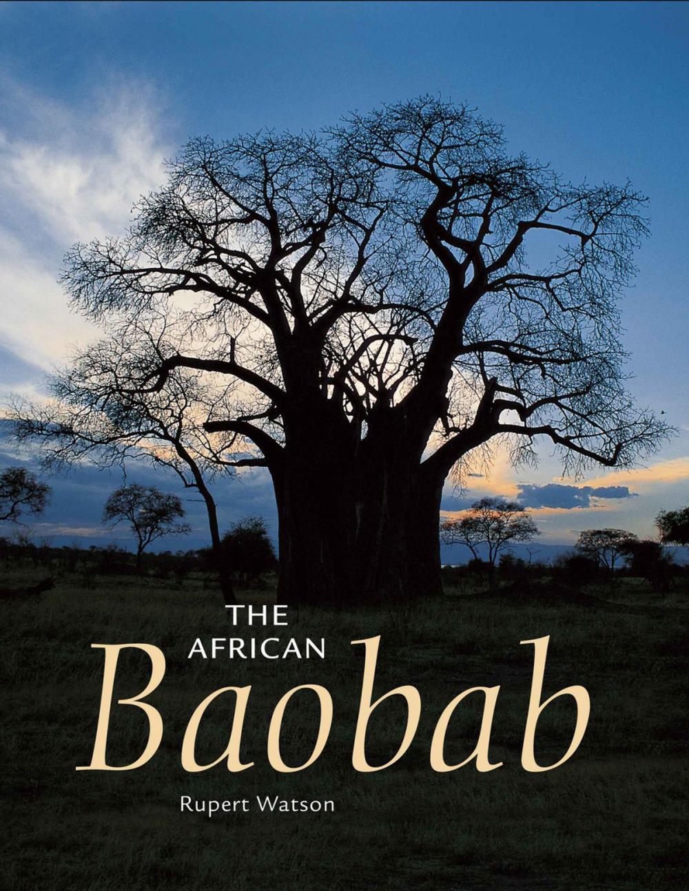 Big bigCover of The African Baobab