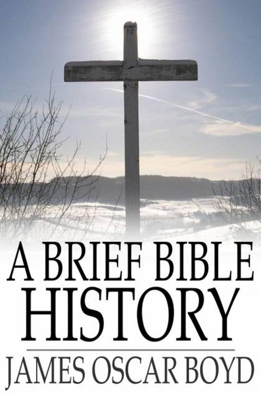 Big bigCover of A Brief Bible History