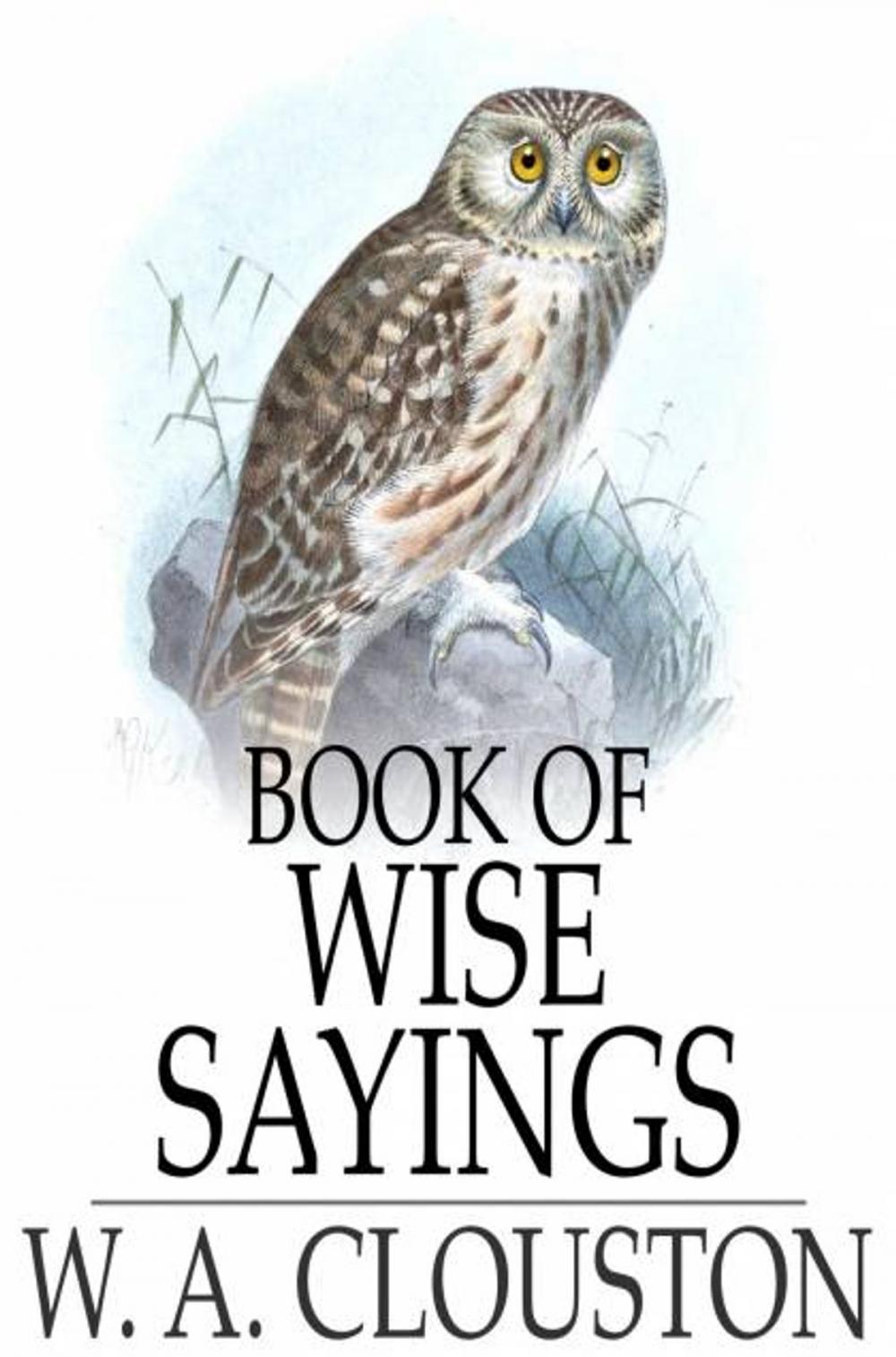 Big bigCover of Book of Wise Sayings