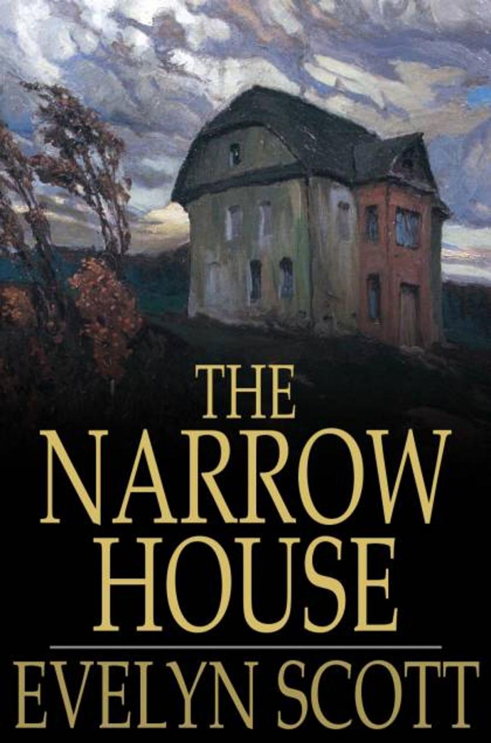 Big bigCover of The Narrow House