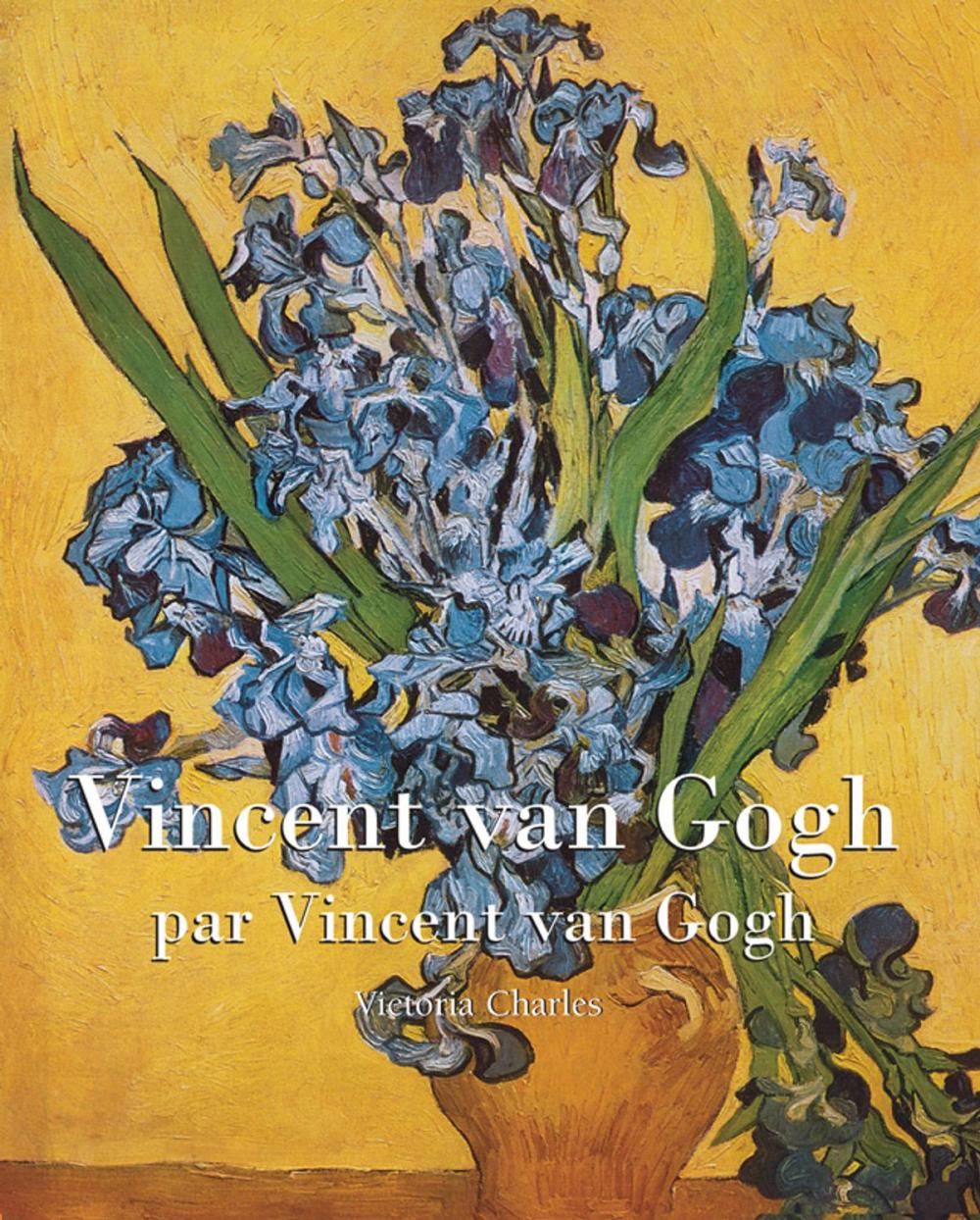 Big bigCover of Vincent van Gogh