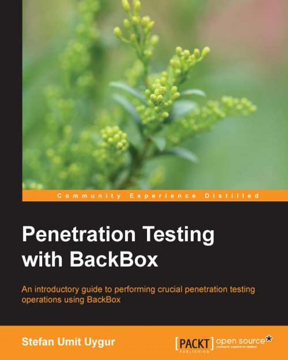 Big bigCover of Penetration Testing with BackBox