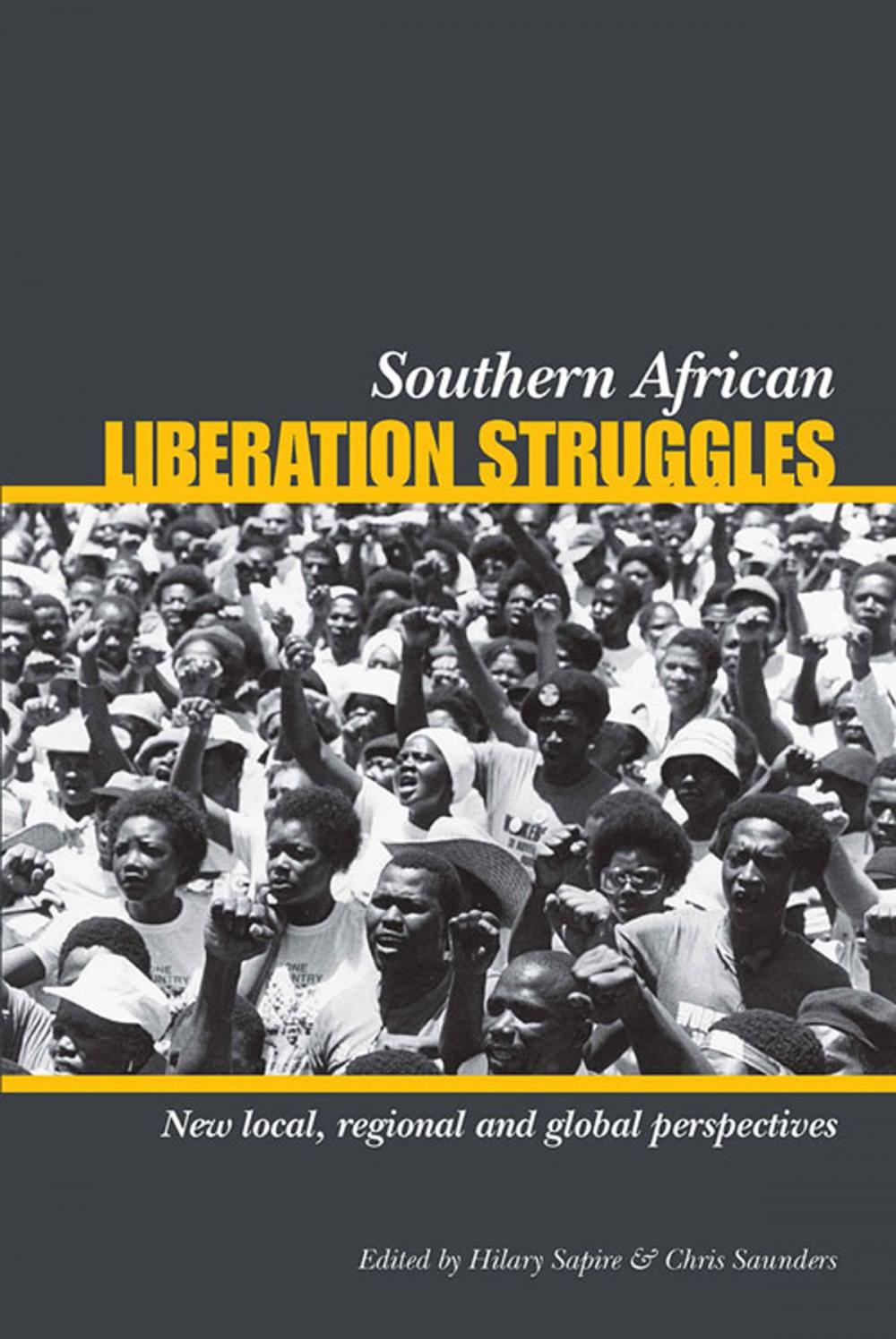 Big bigCover of Southern African Liberation Struggles