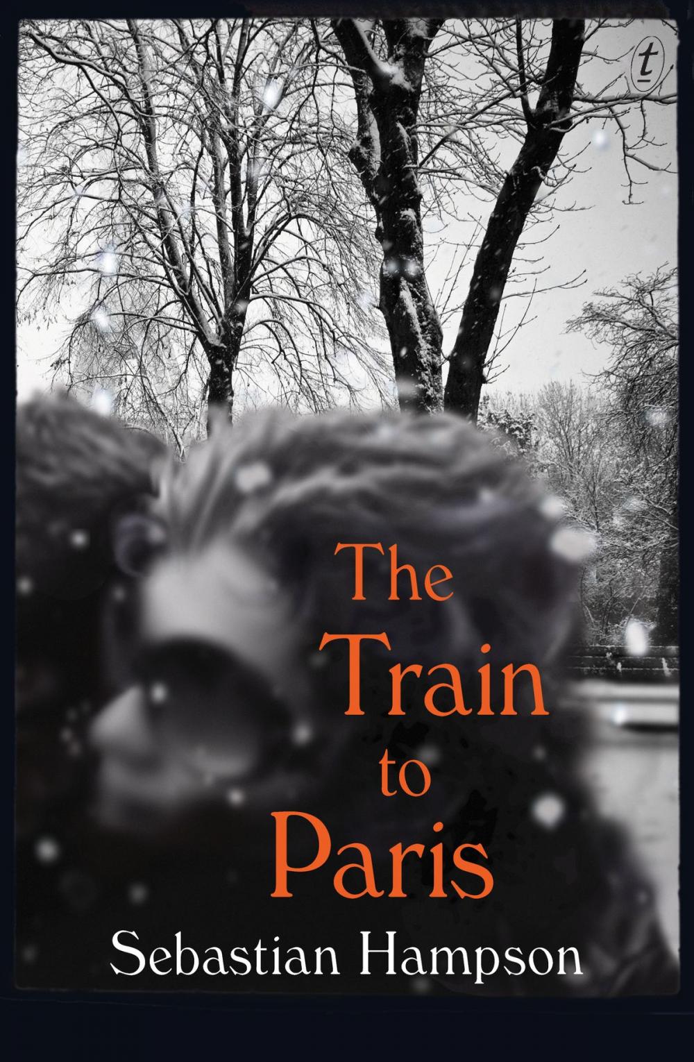 Big bigCover of The Train to Paris