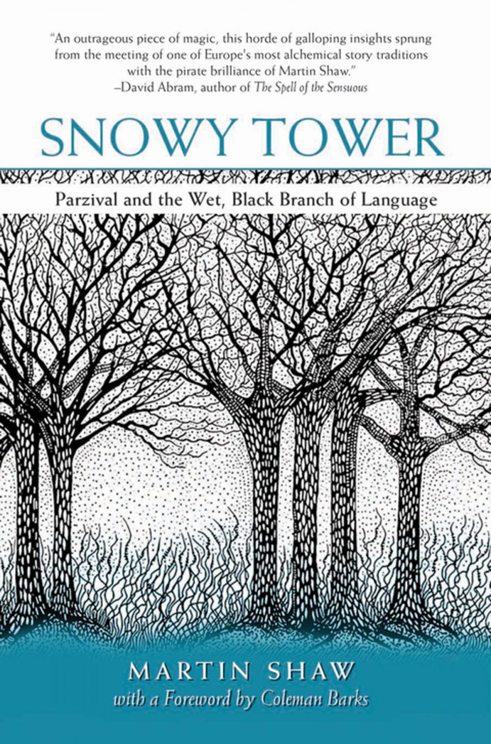 Big bigCover of Snowy Tower