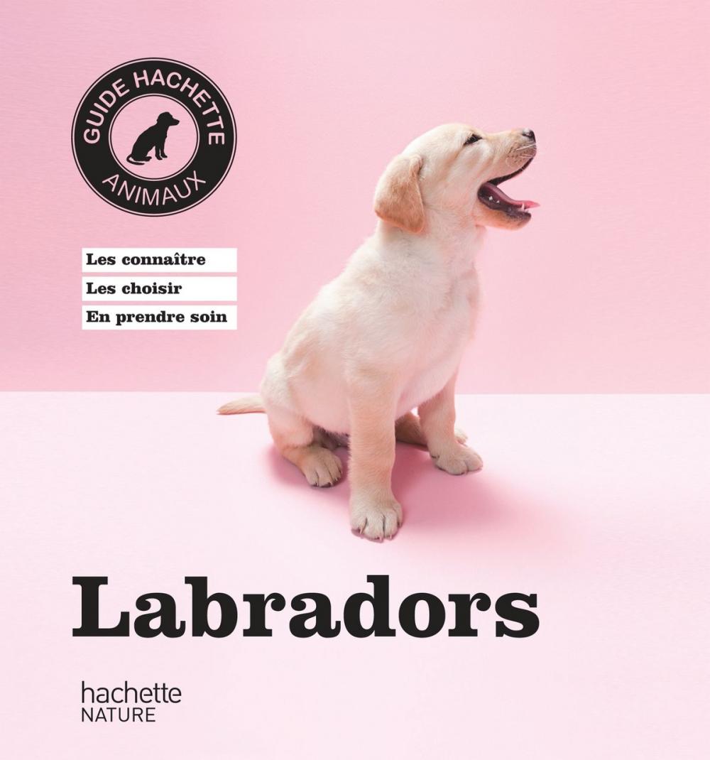 Big bigCover of Labradors