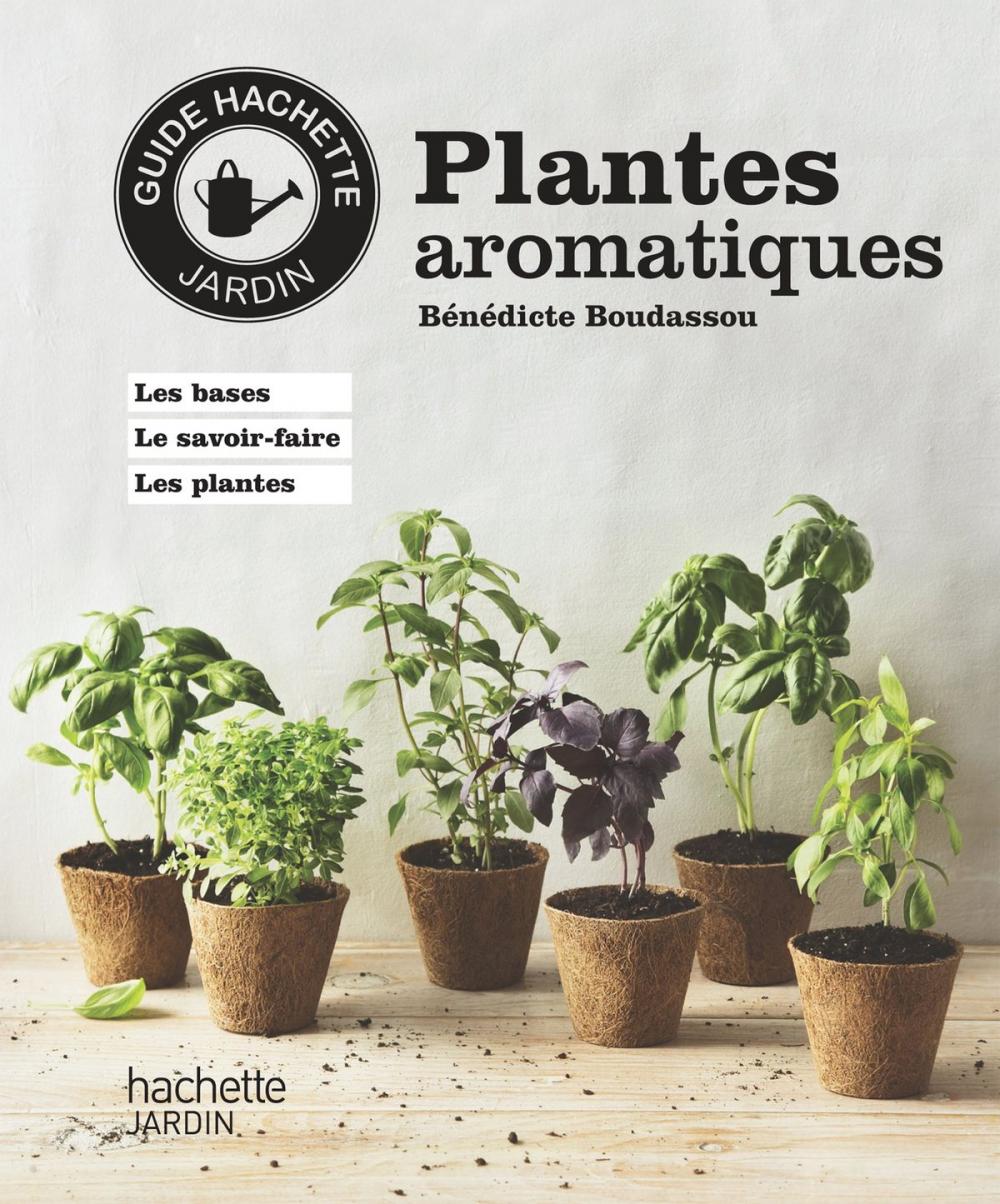 Big bigCover of Plantes aromatiques