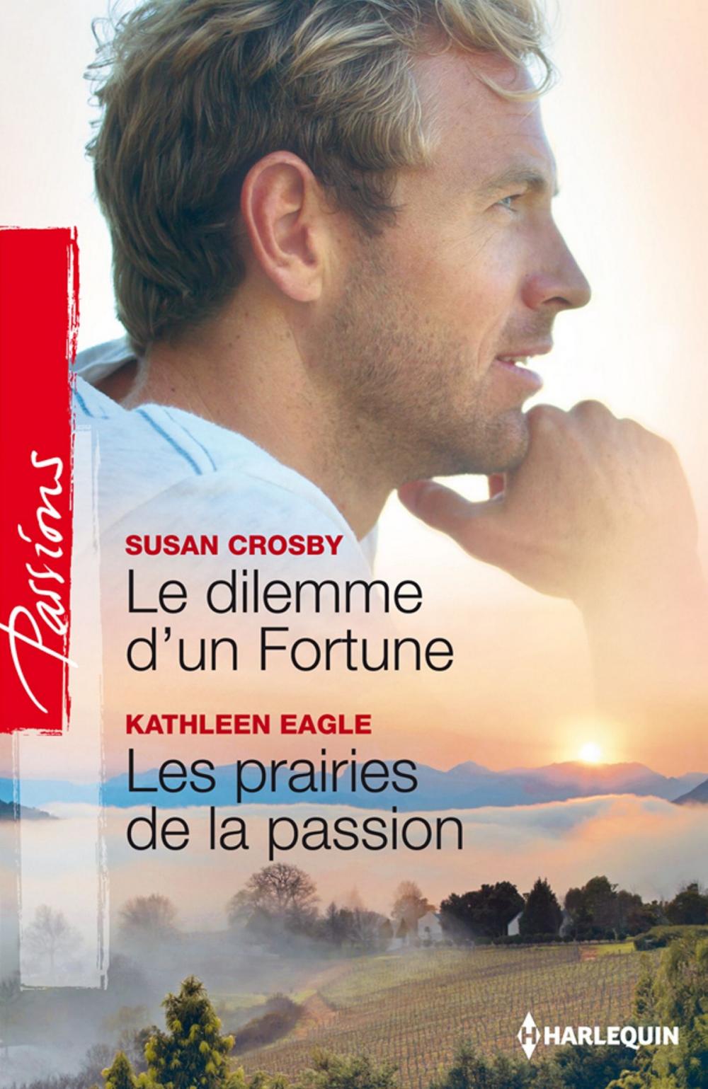 Big bigCover of Le dilemme d'un Fortune - Les prairies de la passion