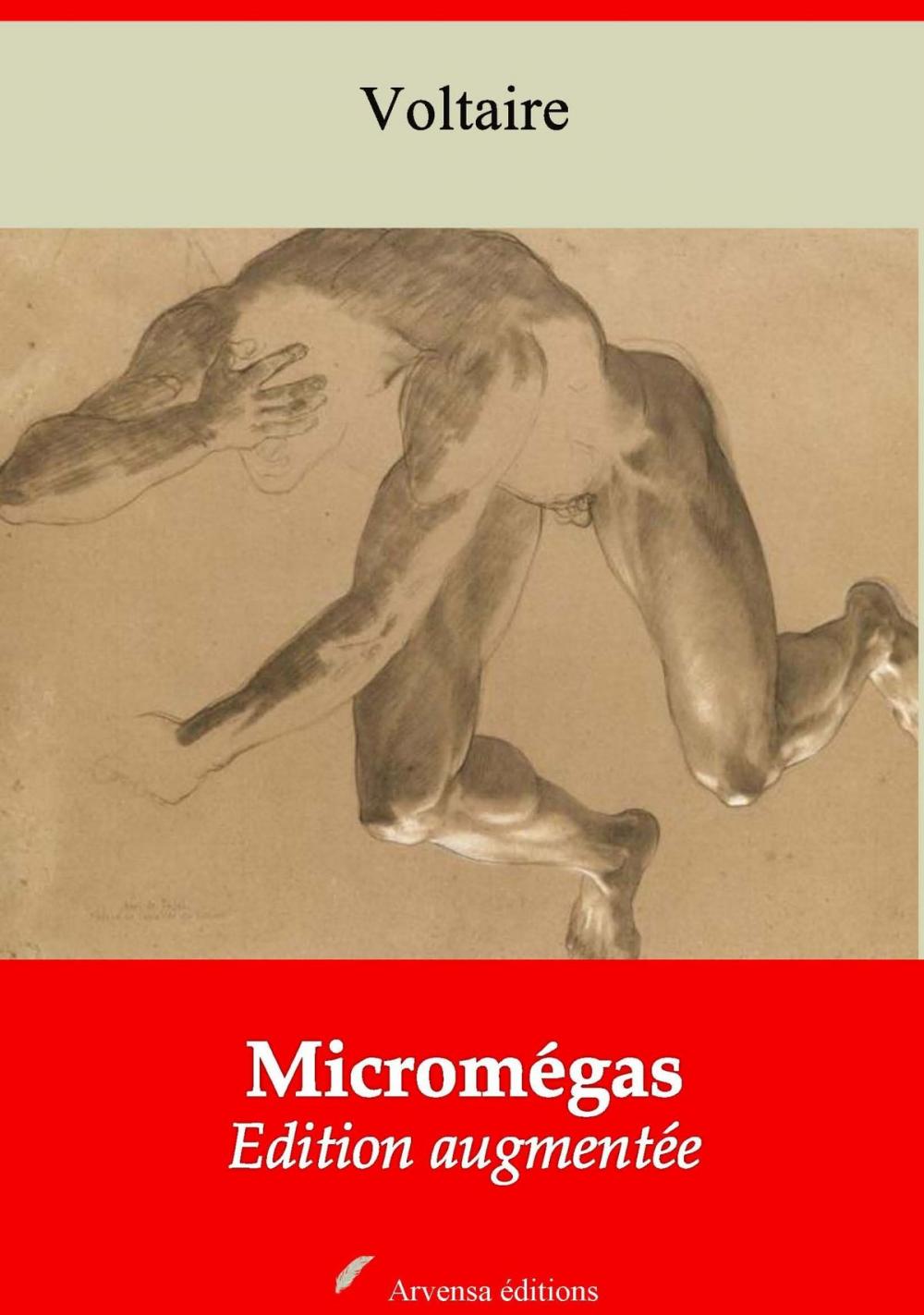 Big bigCover of Micromégas