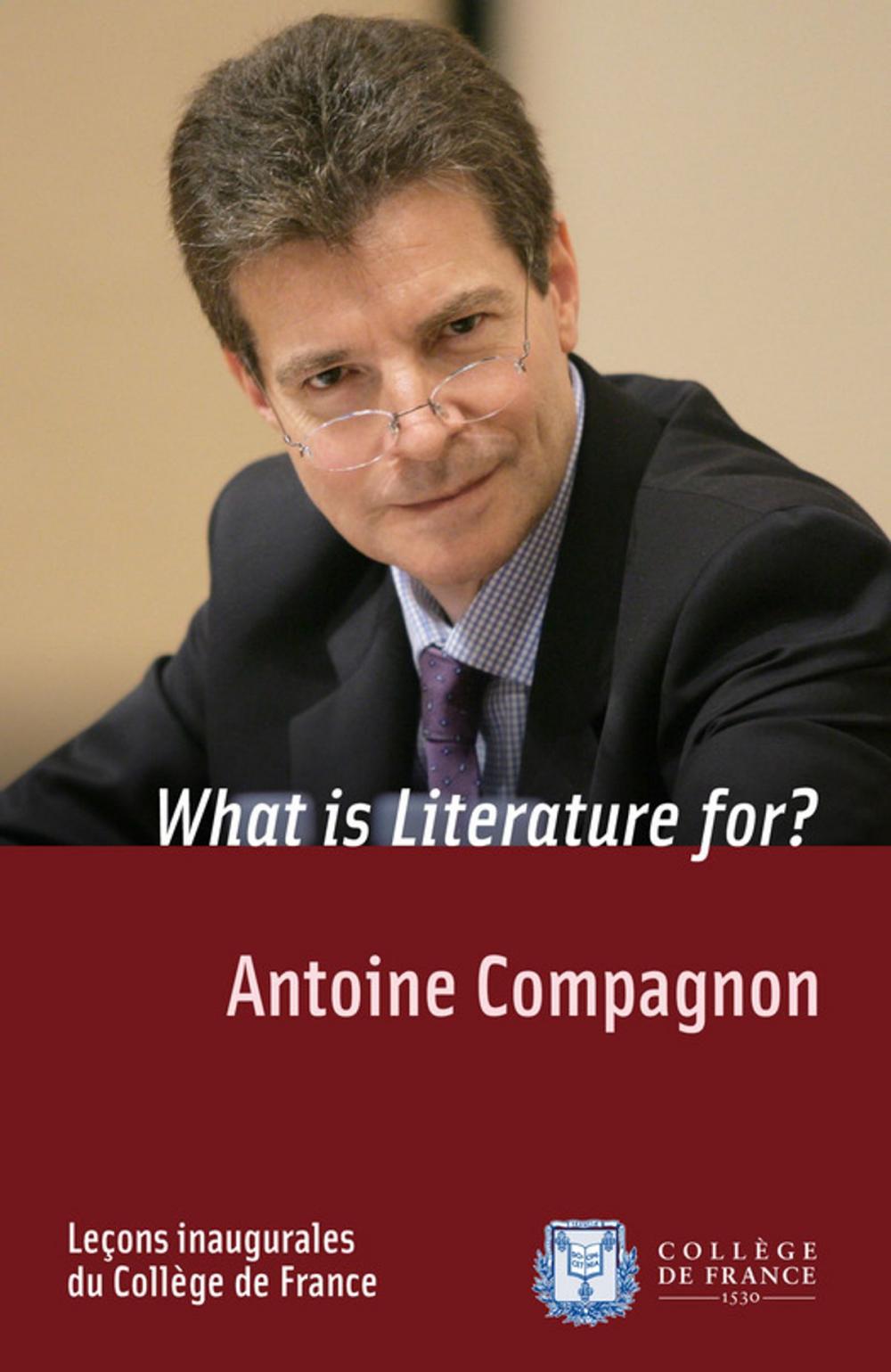 Big bigCover of What is Literature for?