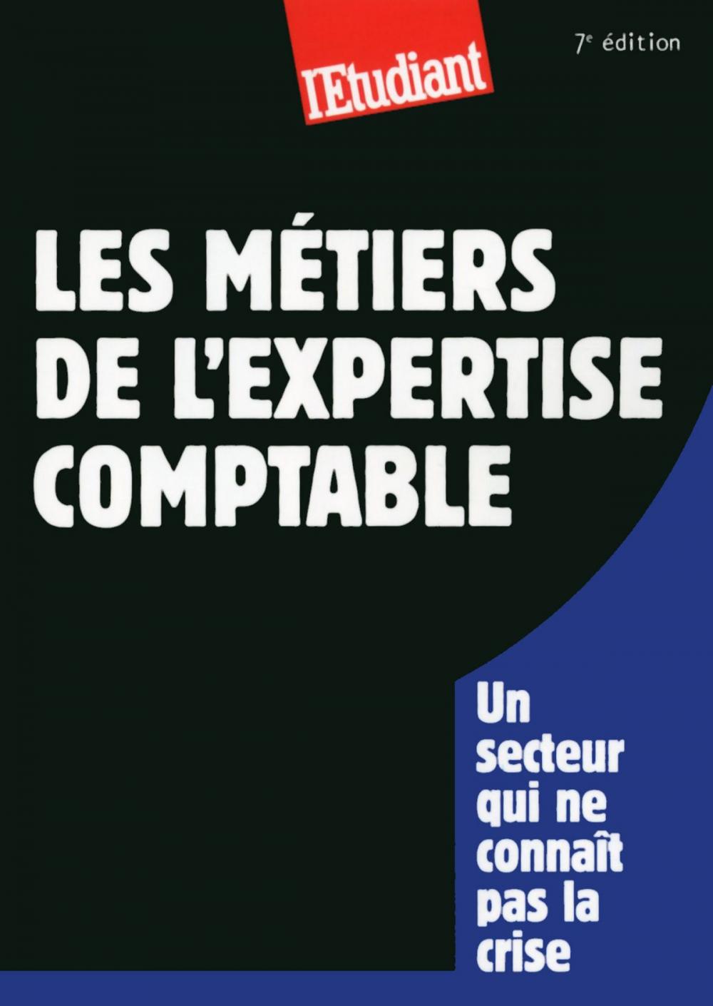 Big bigCover of Les métiers de l'expertise comptable