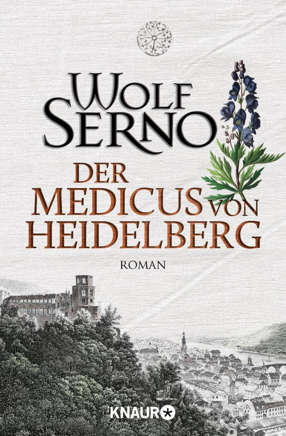 Big bigCover of Der Medicus von Heidelberg