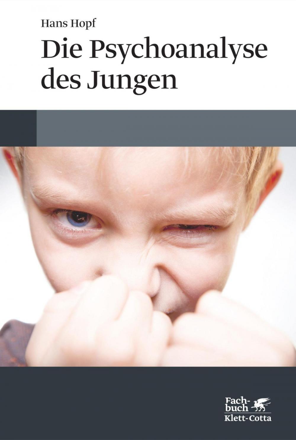 Big bigCover of Die Psychoanalyse des Jungen