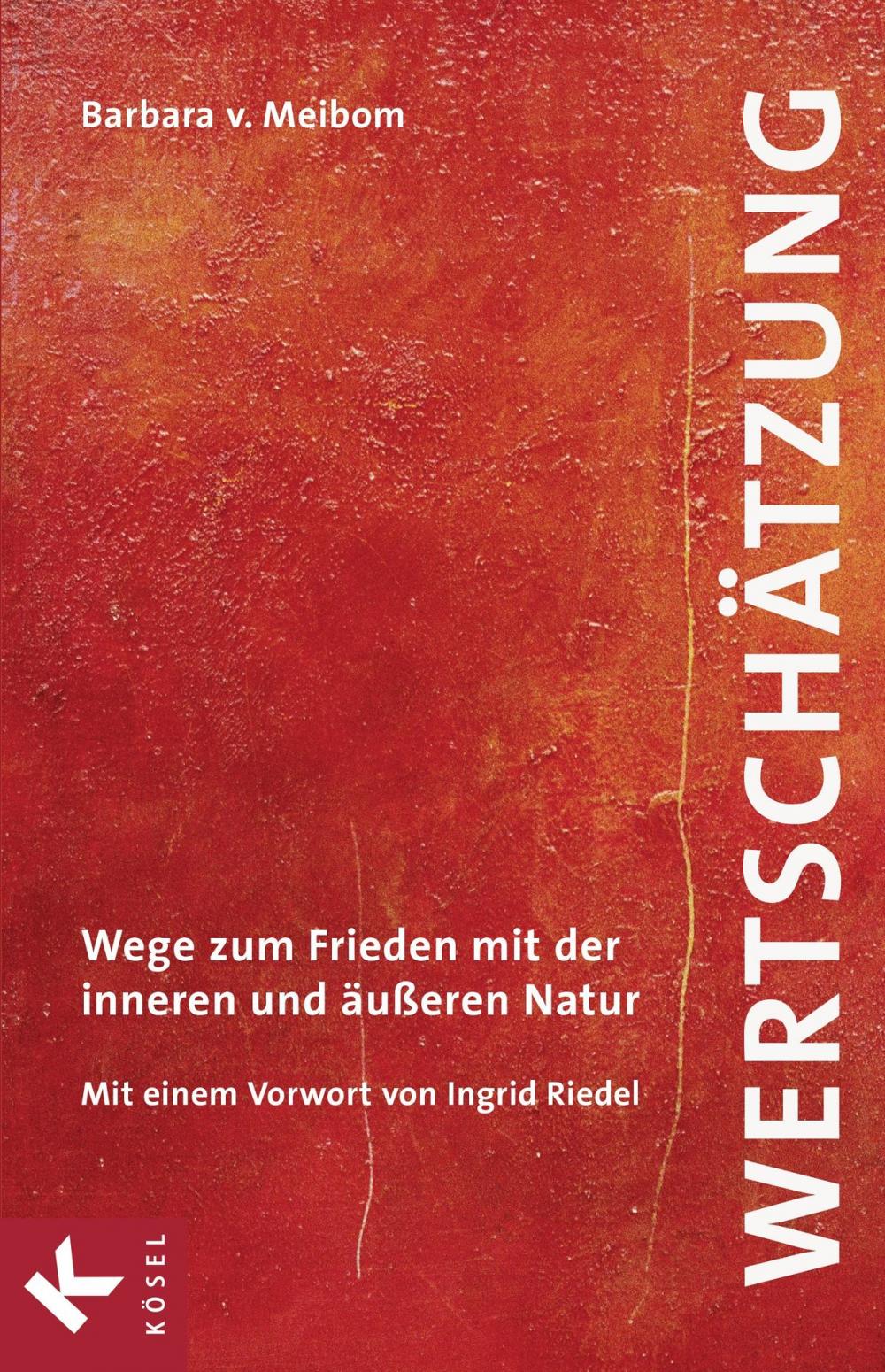 Big bigCover of Wertschätzung