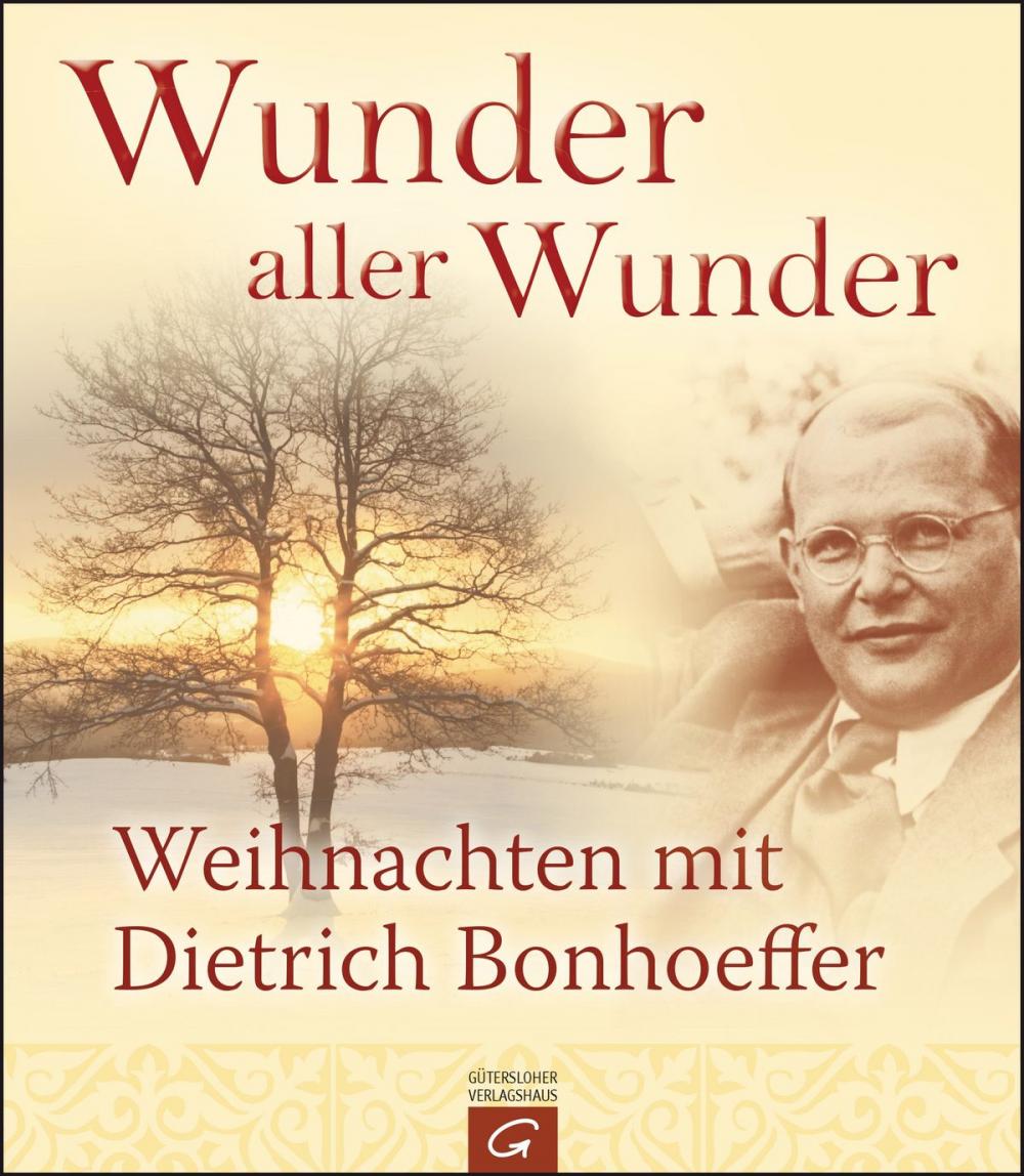 Big bigCover of Wunder aller Wunder