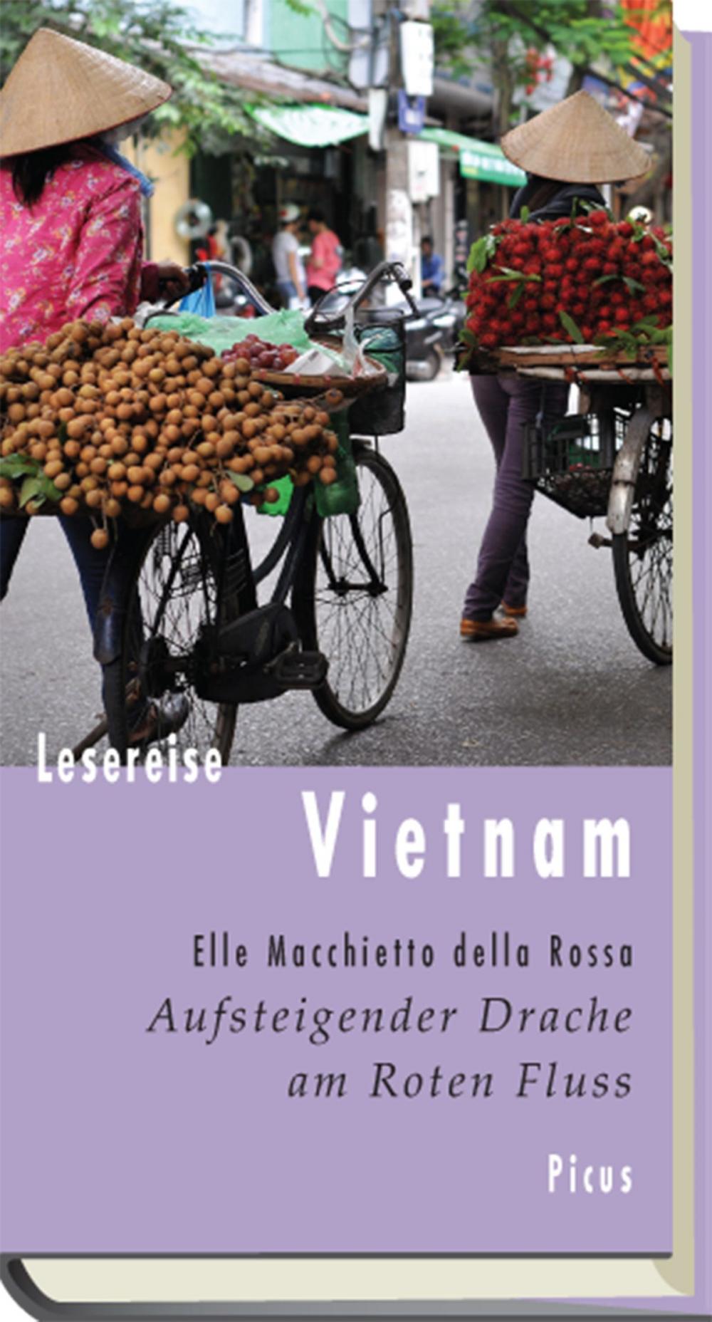 Big bigCover of Lesereise Vietnam