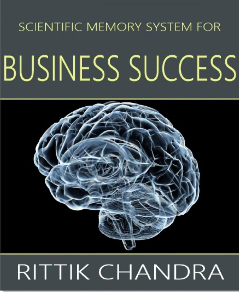 Big bigCover of Scientific Memory System for Business Success