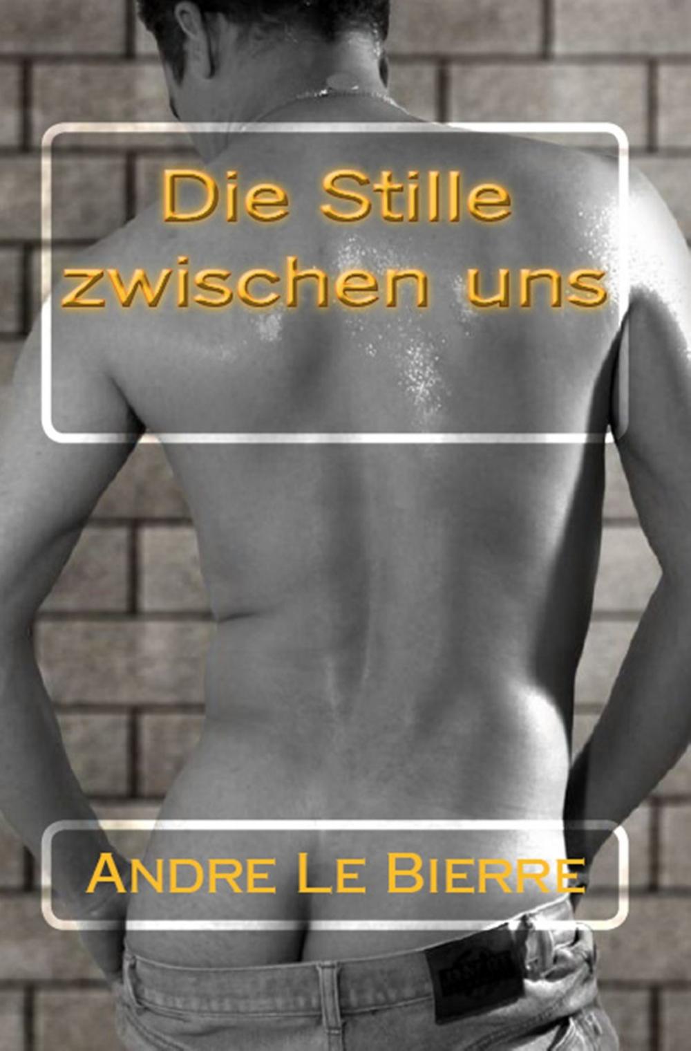 Big bigCover of Die Stille zwischen uns