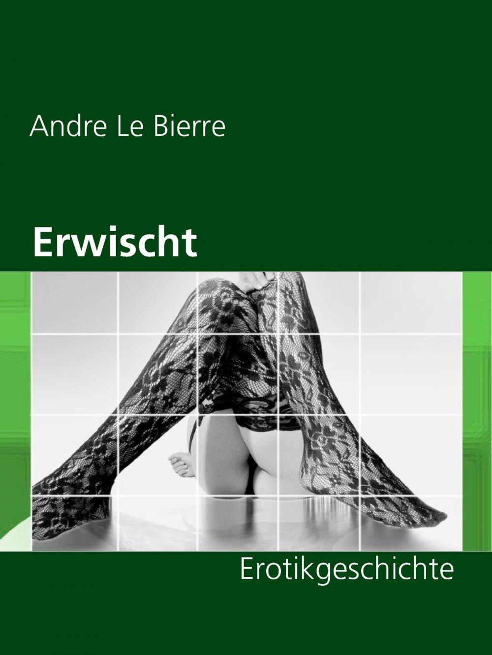 Big bigCover of Erwischt