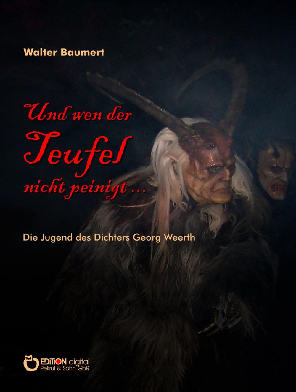 Big bigCover of Und wen der Teufel nicht peinigt ...