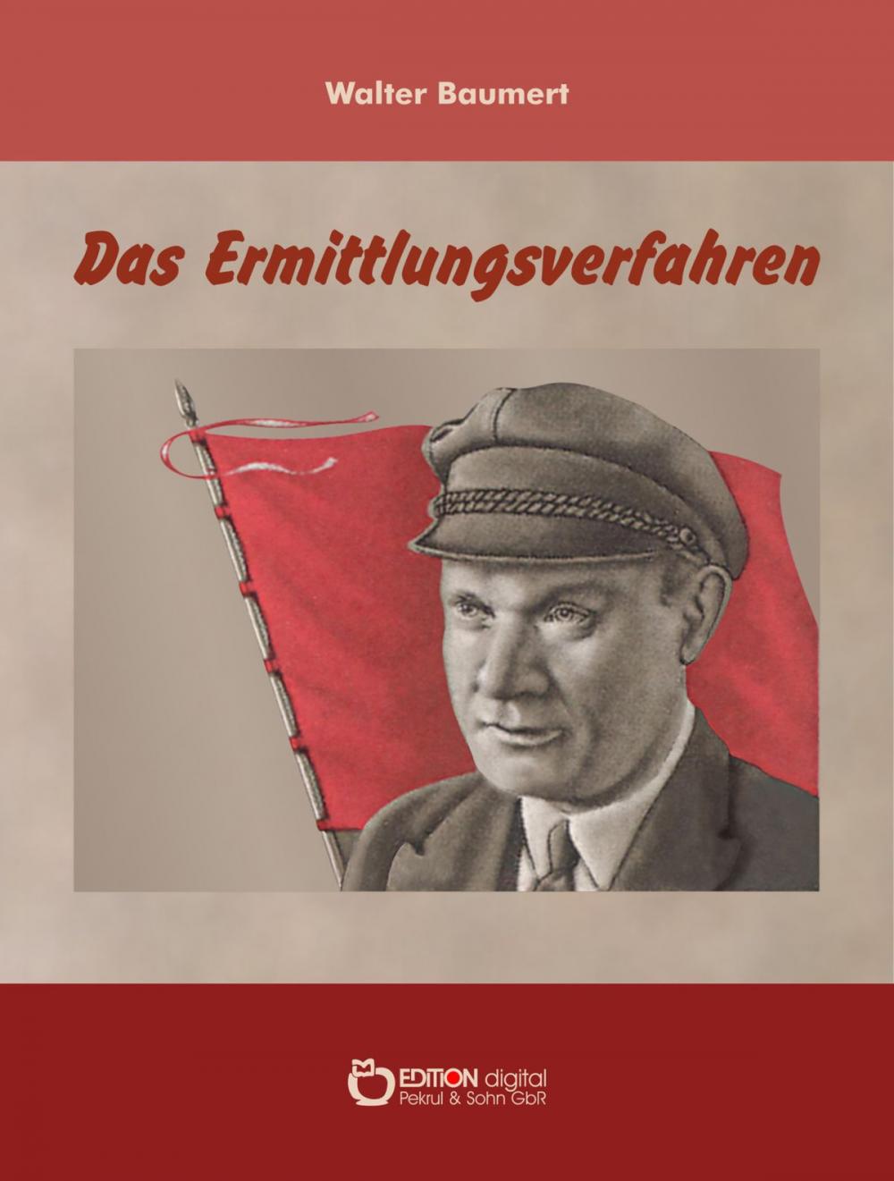 Big bigCover of Das Ermittlungsverfahren