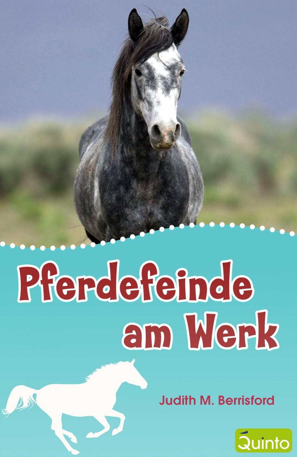 Big bigCover of Pferdefeinde am Werk