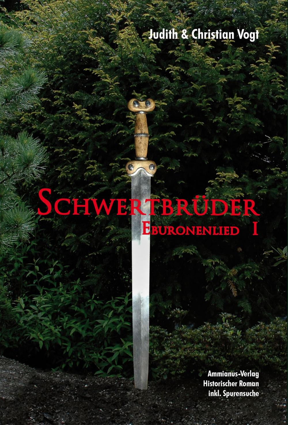 Big bigCover of Schwertbrüder