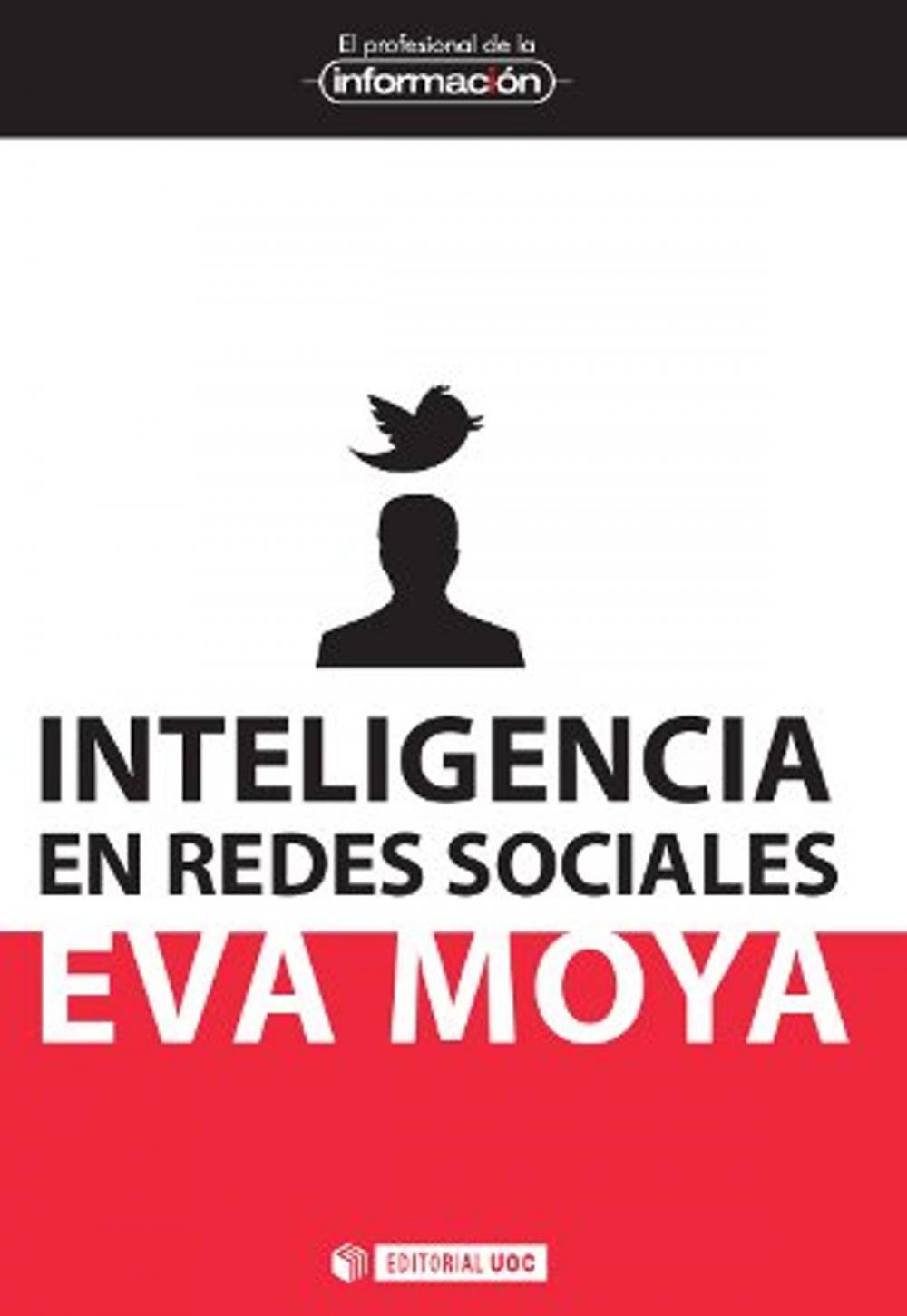 Big bigCover of Inteligencia en redes sociales