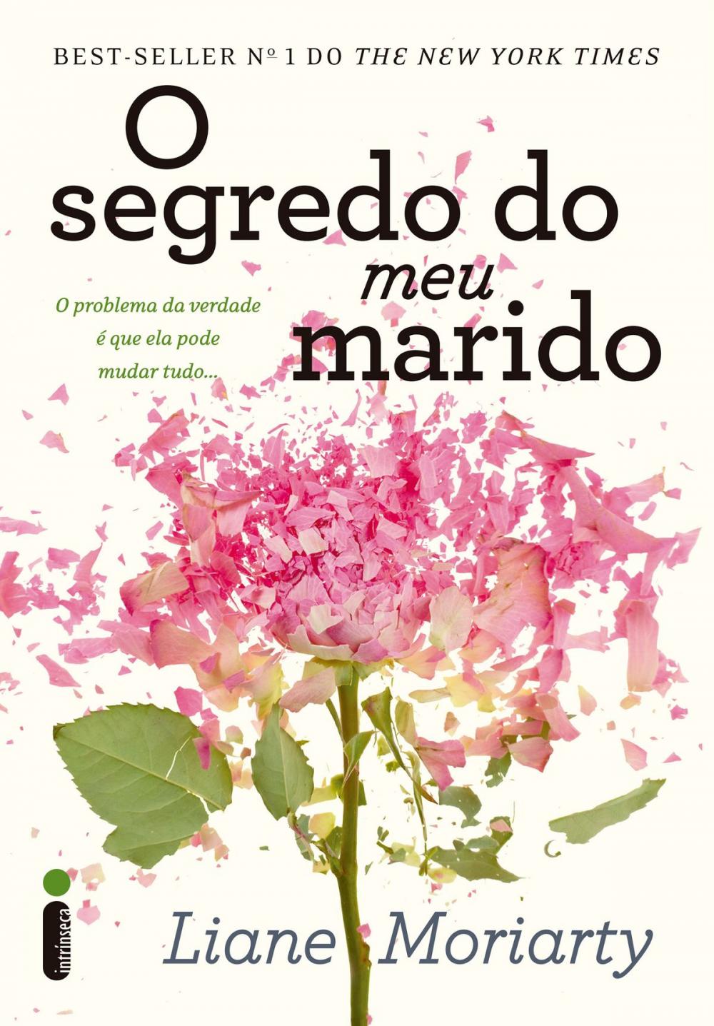 Big bigCover of O segredo do meu marido