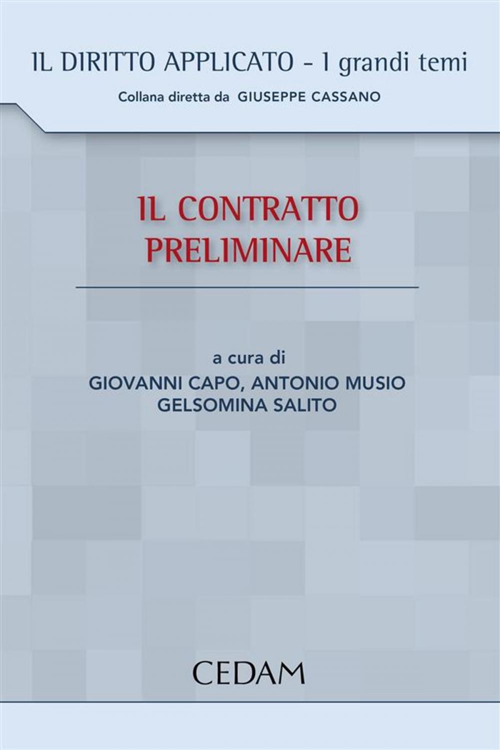 Big bigCover of Il contratto preliminare