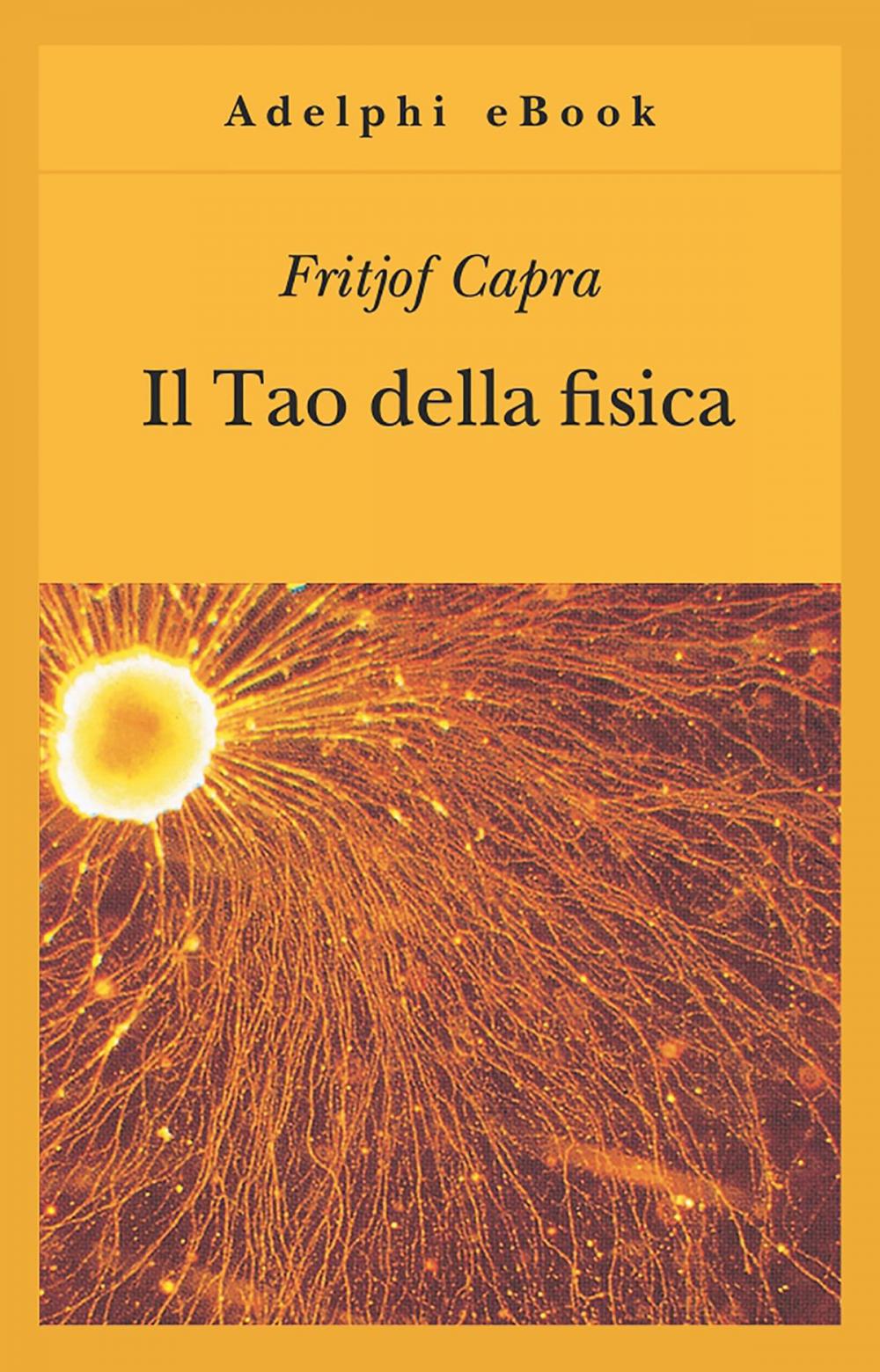 Big bigCover of Il Tao della fisica