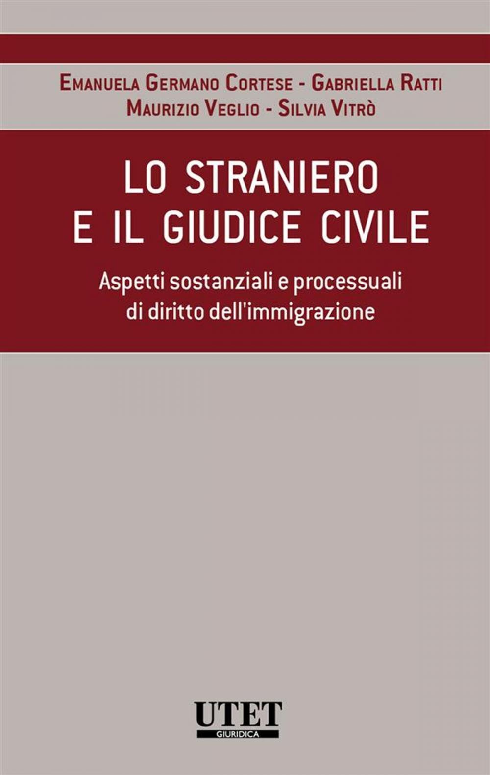 Big bigCover of Lo straniero e il giudice civile. Aspetti sostanzali e processuali di diritto dell'immigrazione