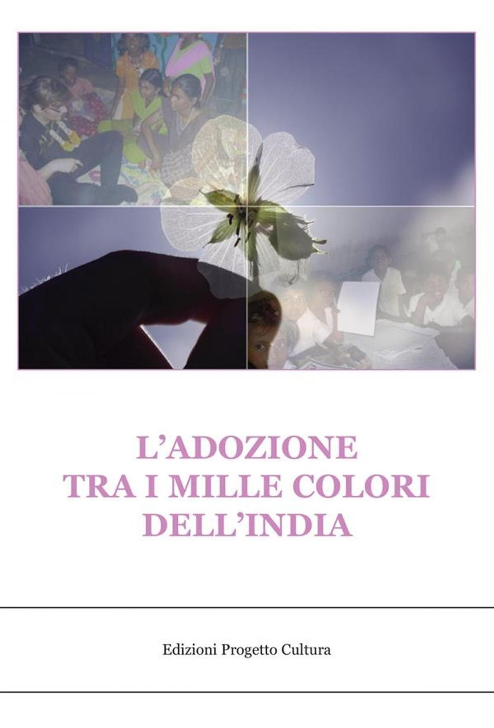 Big bigCover of L'adozione tra i mille colori dell'india