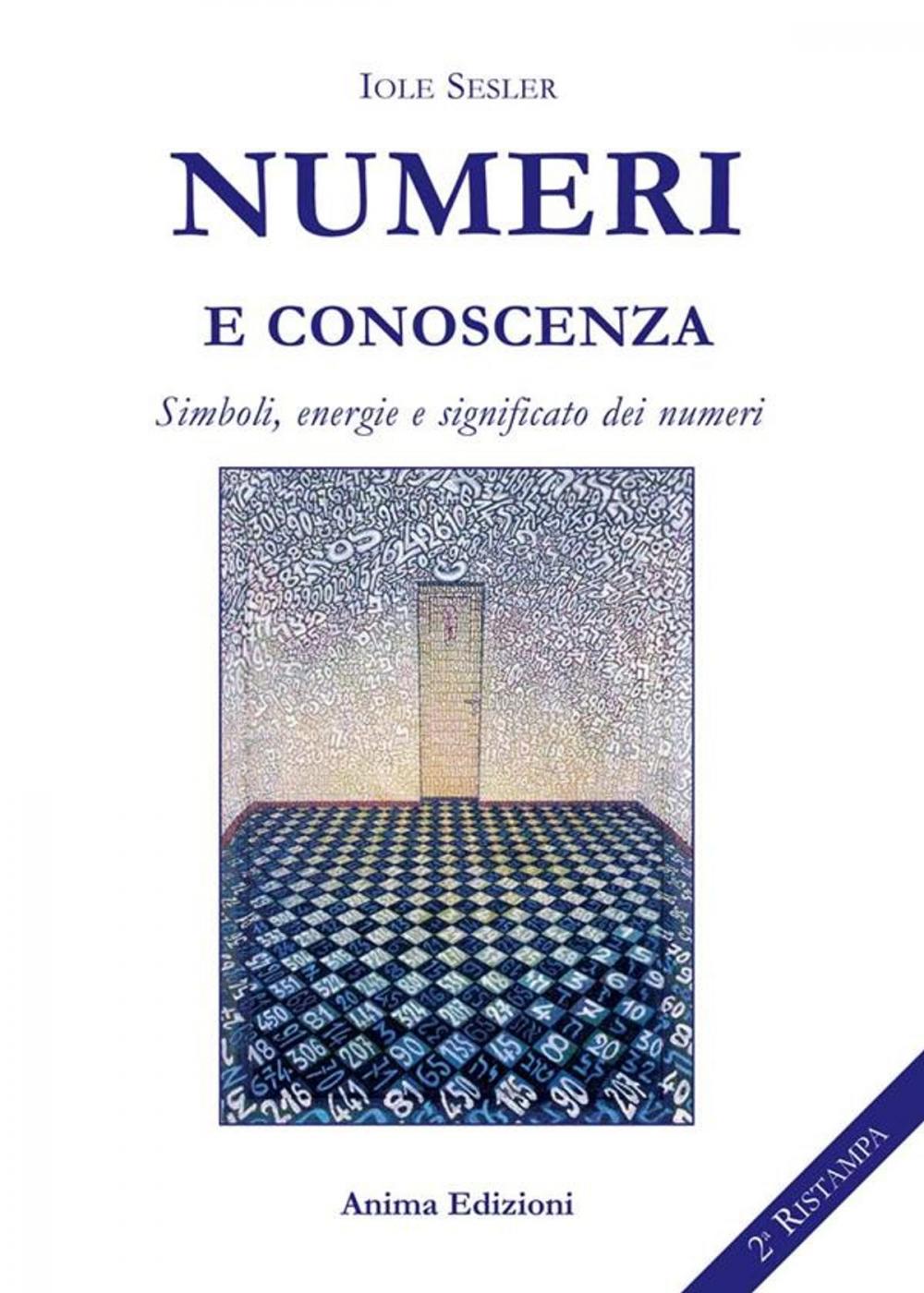 Big bigCover of Numeri e conoscenza