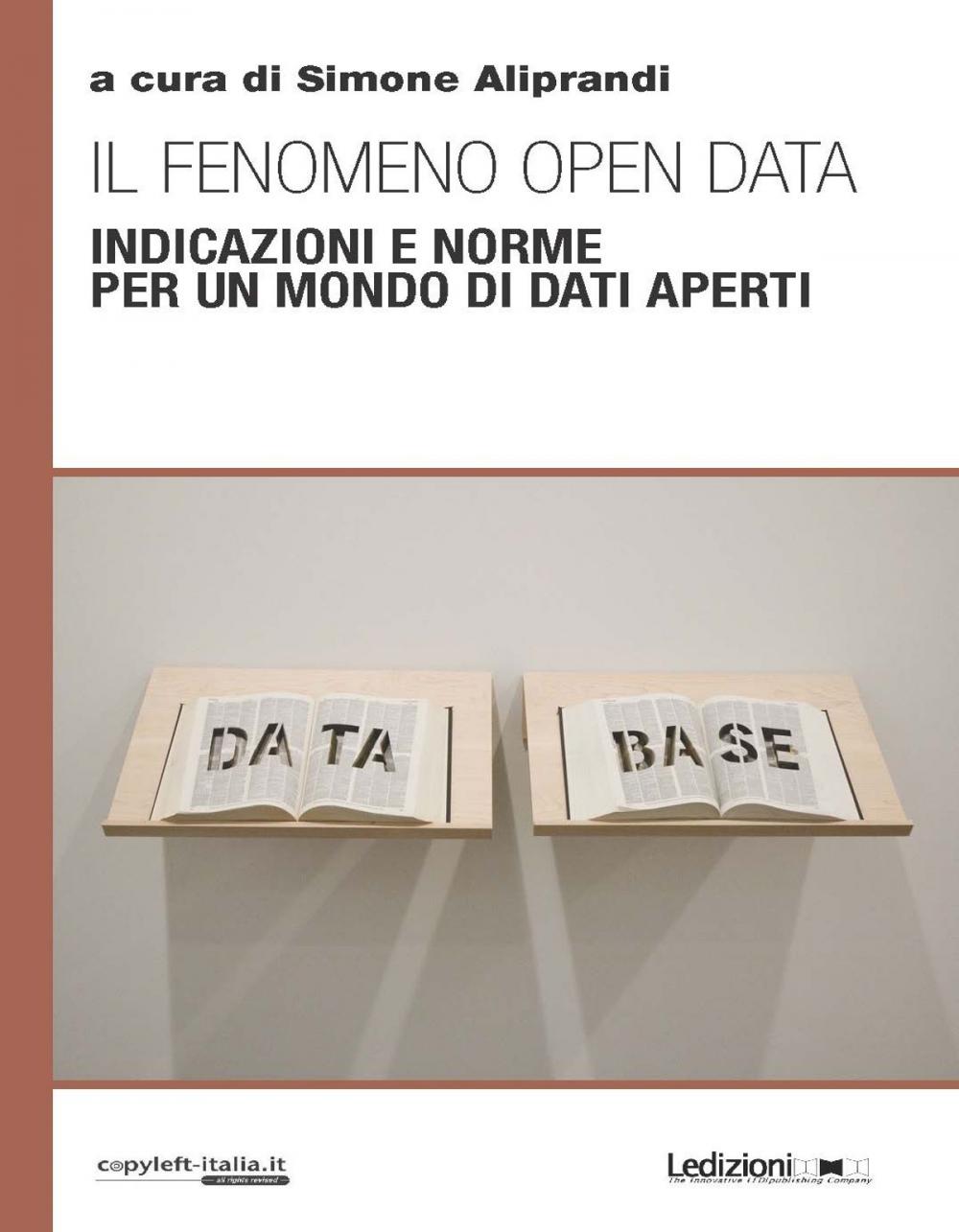 Big bigCover of Il Fenomeno Open Data