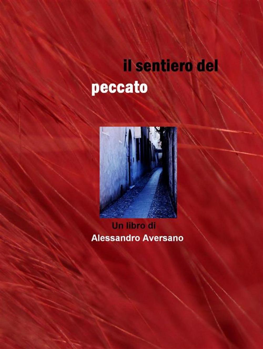 Big bigCover of Il sentiero del peccato